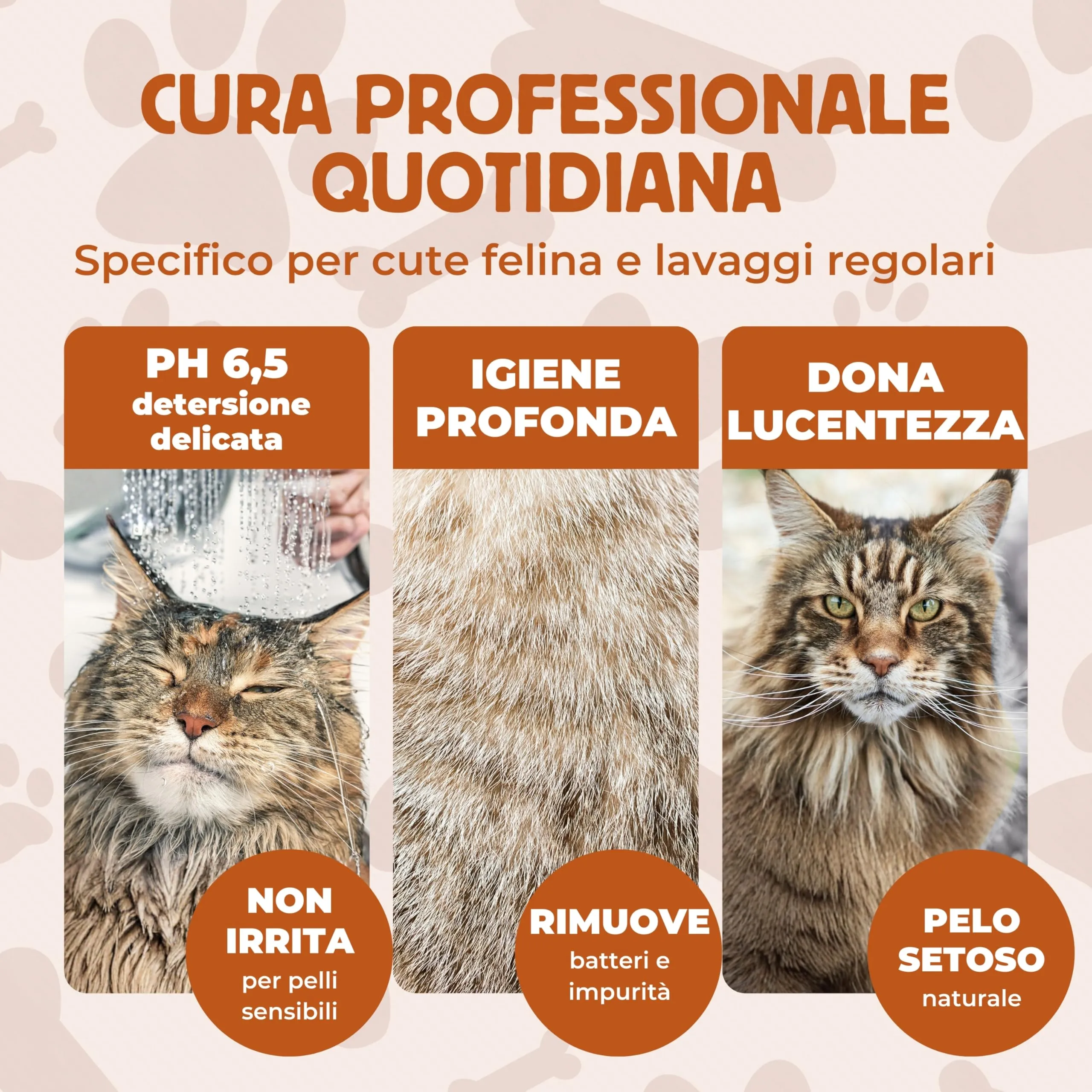 Pet Love Shampoo per Gatti Neutro e Delicato, Profumo di Miele, 250 ml - immagine 4
