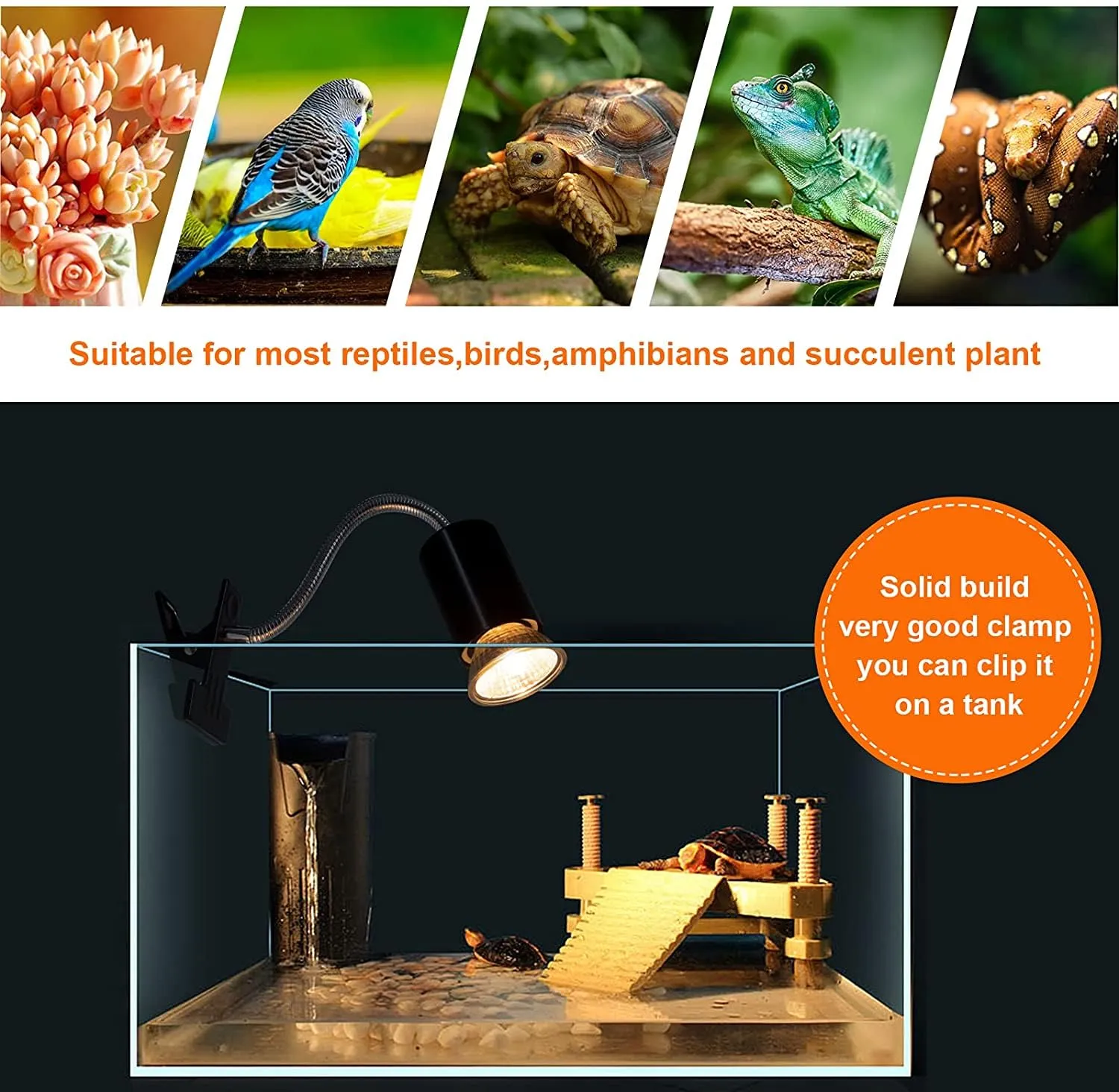 ROXIIFEE Lampada Riscaldante UVA UVB per Tartarughe, Rettili e Anfibi, E27 25W/50W, per Acquario e Terrario - immagine 7