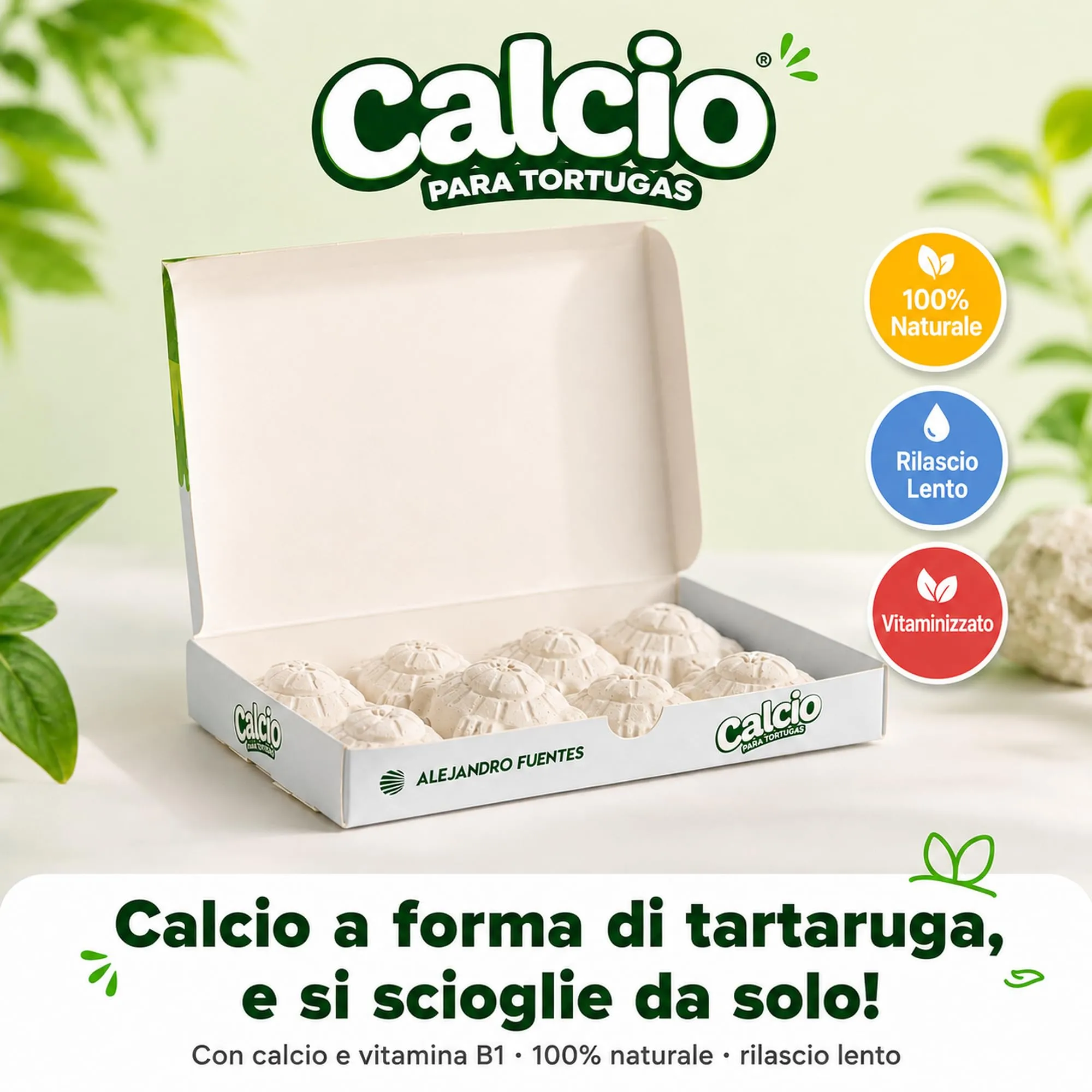 Alejandro Fuentes AF Calcio per Tartarughe di Terra e Acqua, Blocco Minerale Rilascio Lento con Vitamina B1, Pack 8 Pezzi - immagine 5