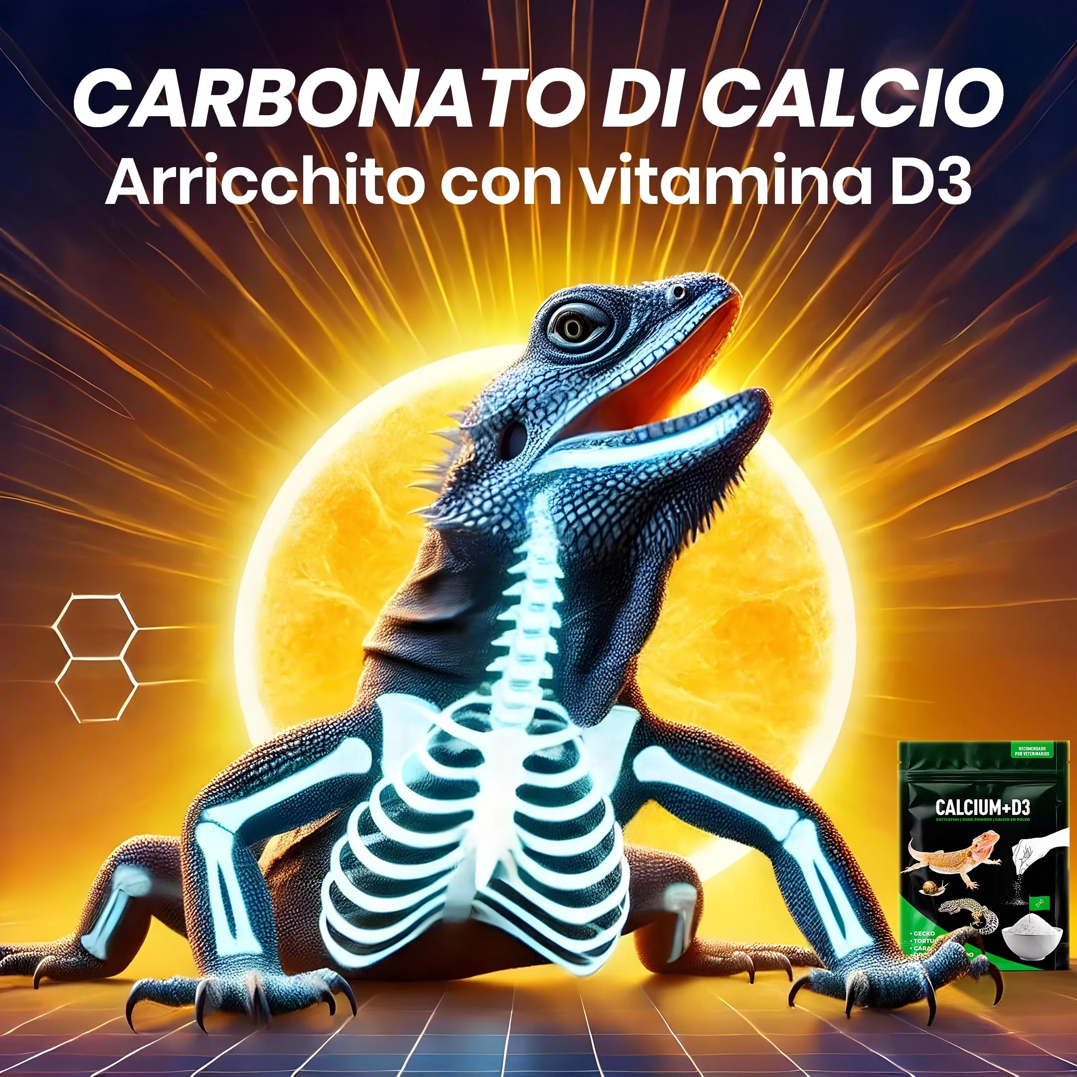 Alejandro Fuentes AF Calcio Tartaruga di Terra e Rettili, Calcio D3 Senza Fosforo, Polvere Ultrafine con Dosatore, 150g - immagine 4