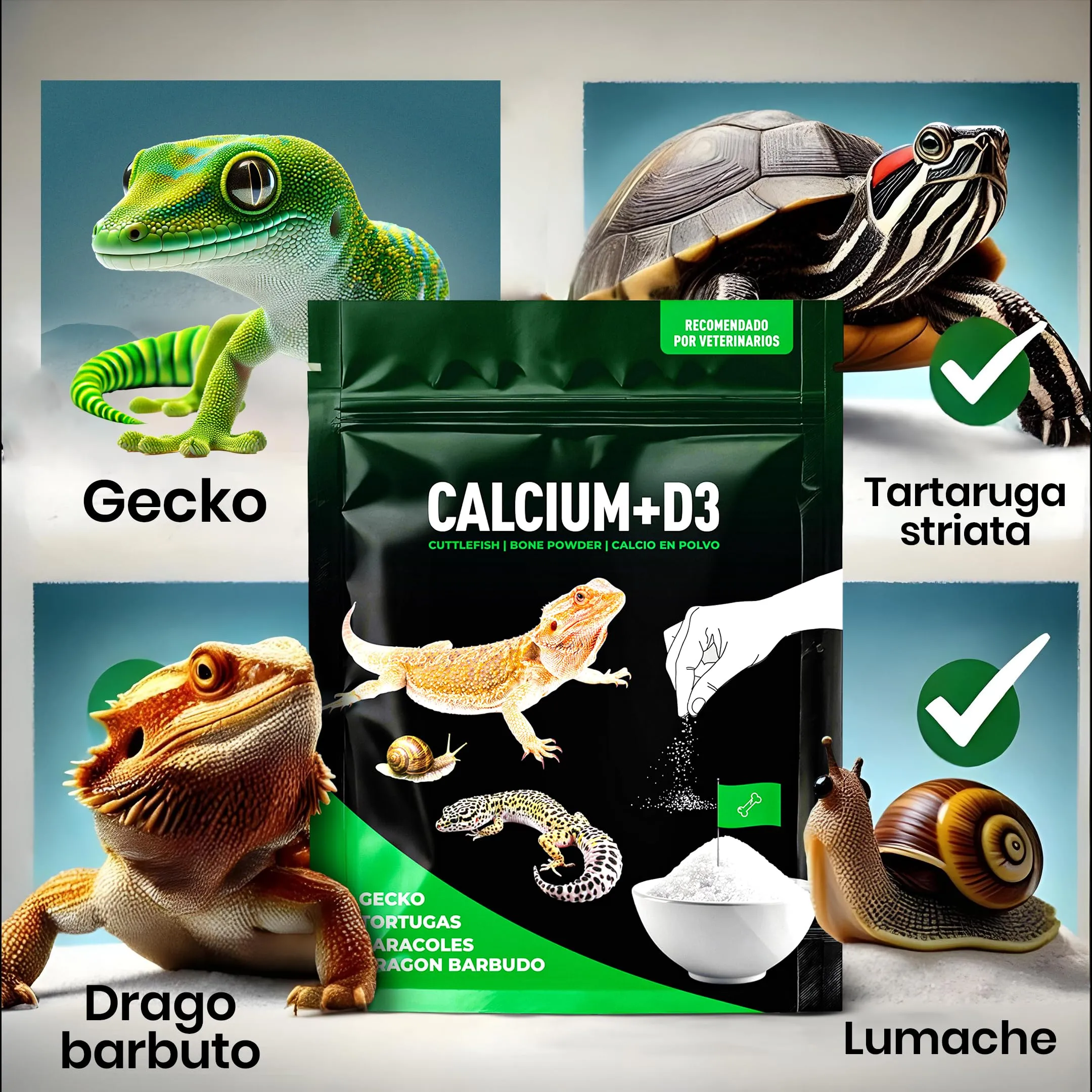 Alejandro Fuentes AF Calcio Tartaruga di Terra e Rettili, Calcio D3 Senza Fosforo, Polvere Ultrafine con Dosatore, 150g - immagine 5