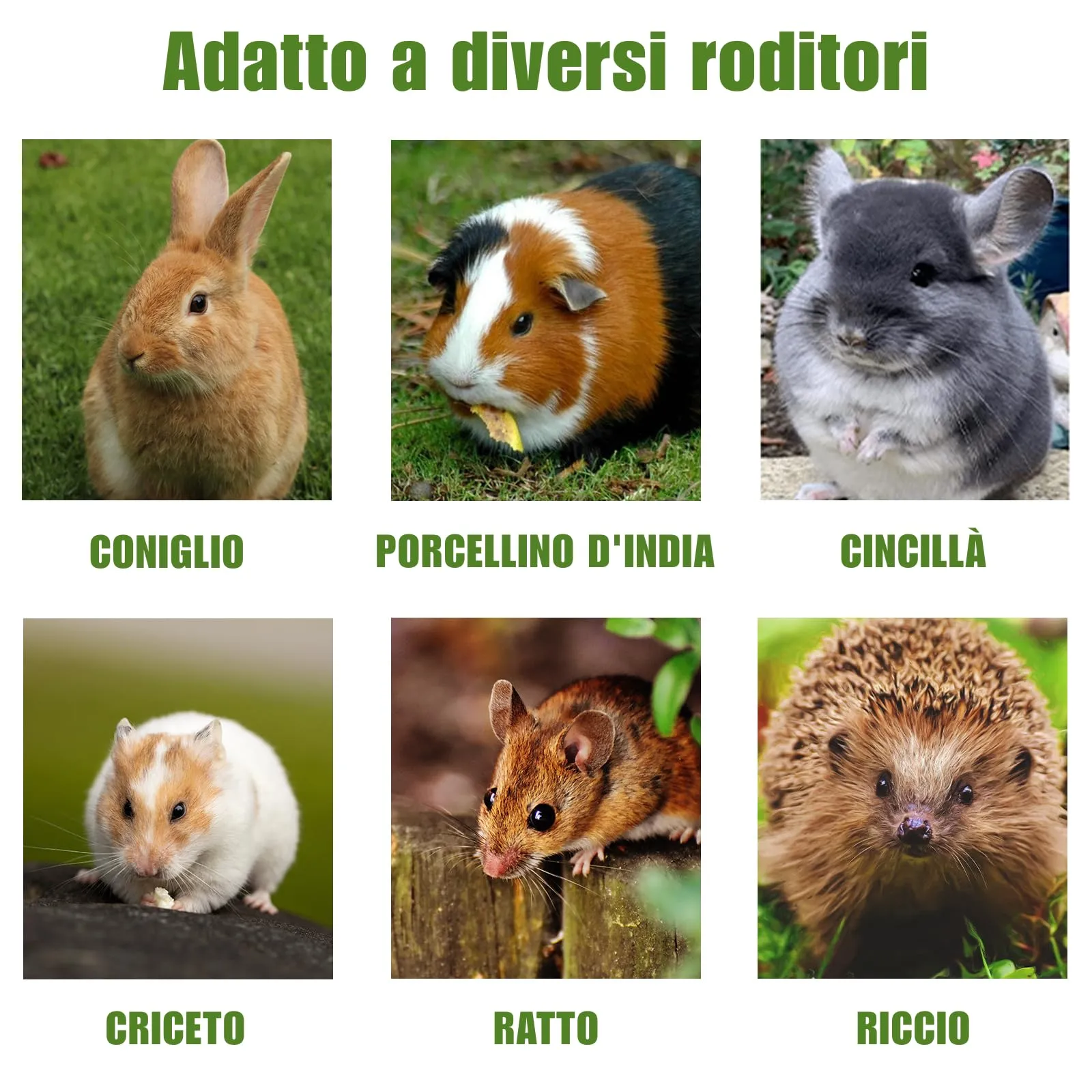 TOKAYIFE Giocattolo da Masticare Bastoncini di Fieno Timothy per Conigli, Porcellini d'India, Cincillà e Criceti, 40 unità - immagine 4
