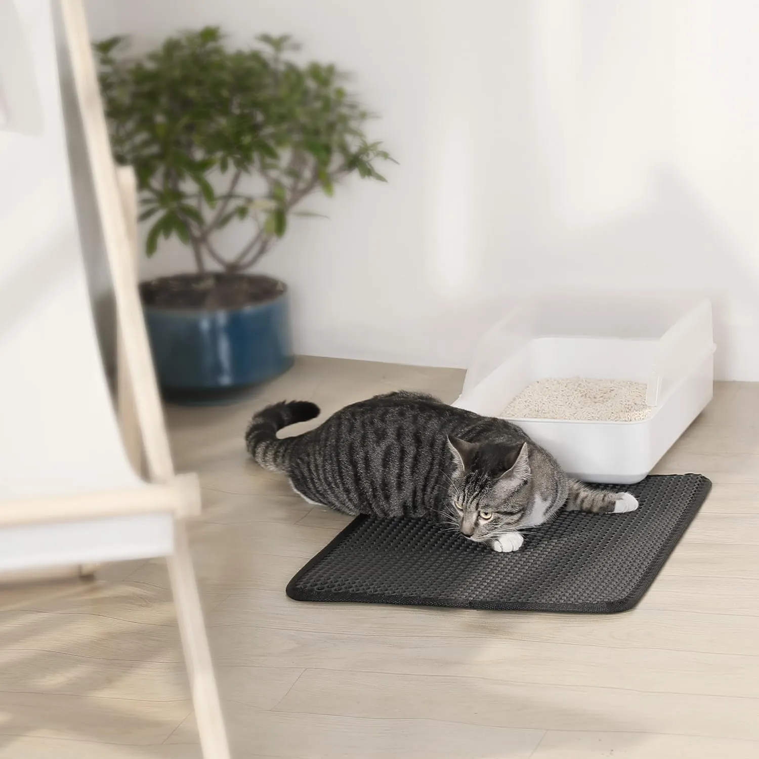 Conlun Tappetino Lettiera Gatto 58x42cm Doppio Strato Impermeabile Antiscivolo, Nero - immagine 8