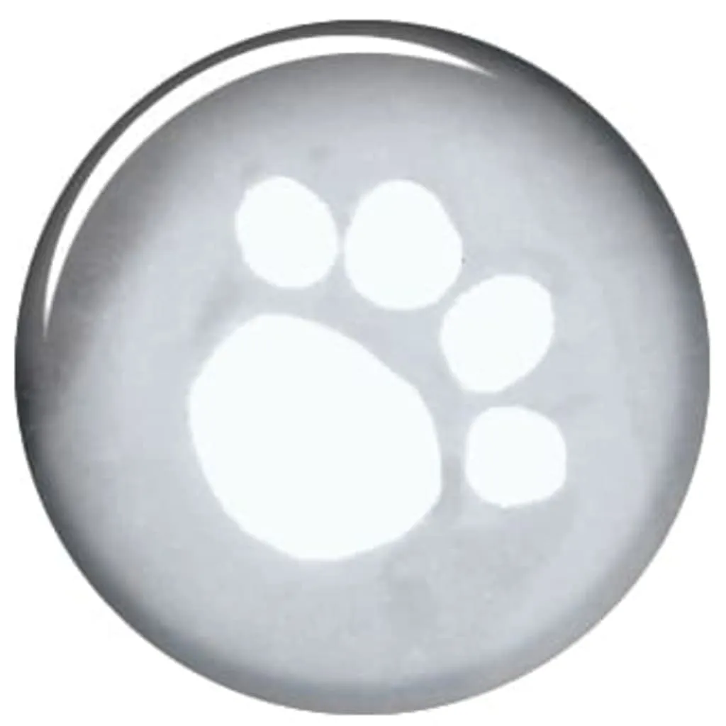 Trixie Tarbes Impermeabile per cani, 46 cm, Trasparente/Nero - immagine 3