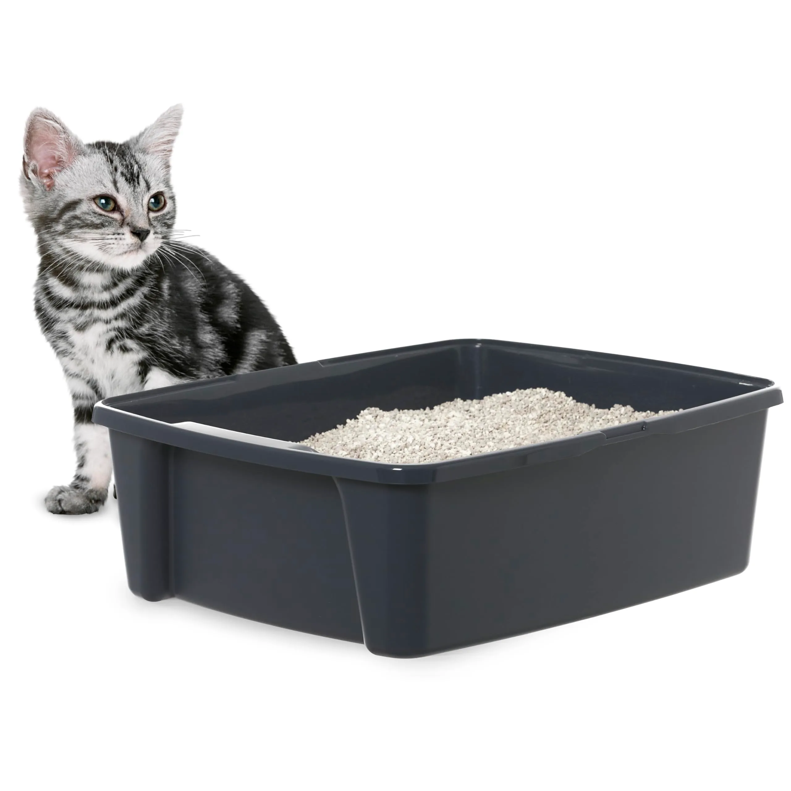 Iris Ohyama Vaschetta Lettiera per Gatti CLH-12 Body, Plastica PP, 38 x 48.5 x 15 cm, Grigio - immagine 1