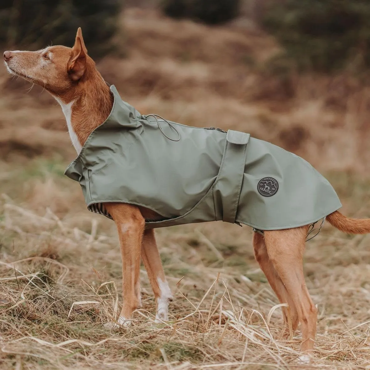 Hunter Impermeabile per Cani Milford, Verde, Taglia 80 - immagine 2