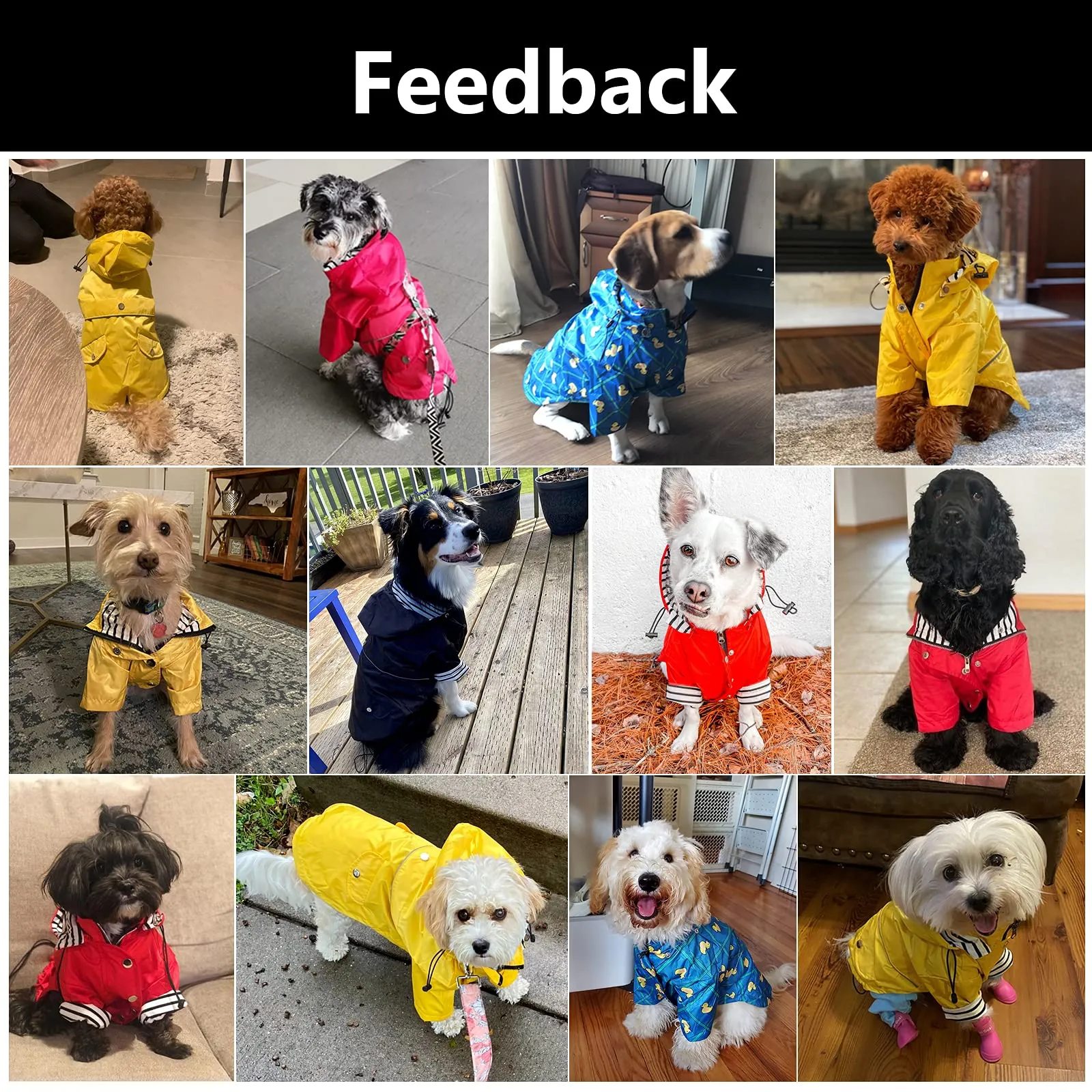Morezi Impermeabile per Cani con Cappuccio Staccabile e Cerniera, Blu Scuro, L - immagine 2