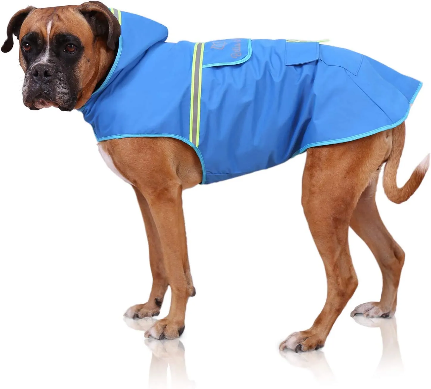 Bella & Balu Impermeabile Cane con Cappuccio e Catarifrangenti, Blu, L - immagine 1