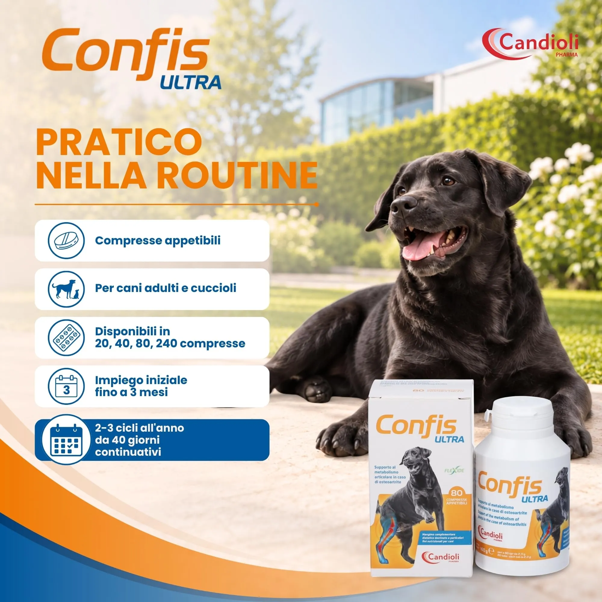 Candioli Confis Ultra Cane, 80 Compresse per Articolazioni - immagine 4