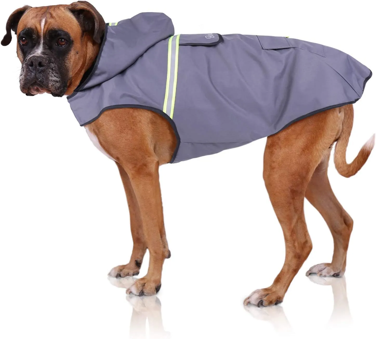 Bella & Balu Impermeabile Cane con Cappuccio e Catarifrangenti, Grigio, L - immagine 1