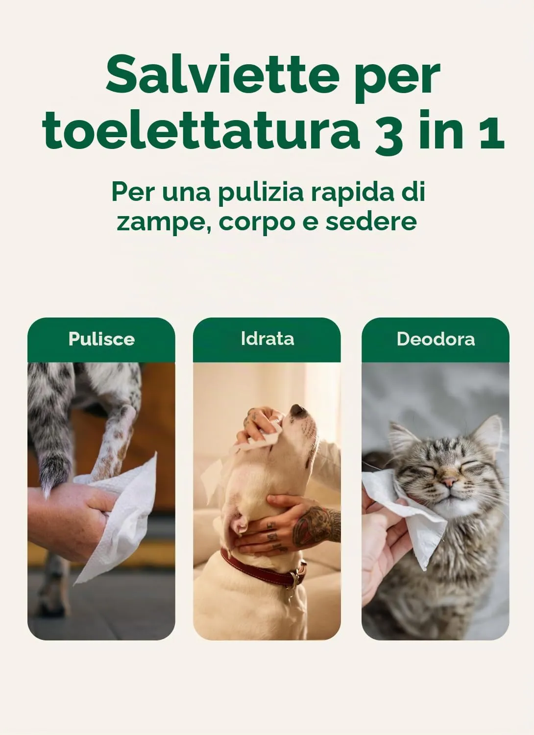 Earth Rated Salviette Ipoallergeniche per Cani, Senza Profumo, 100 Pezzi - immagine 4