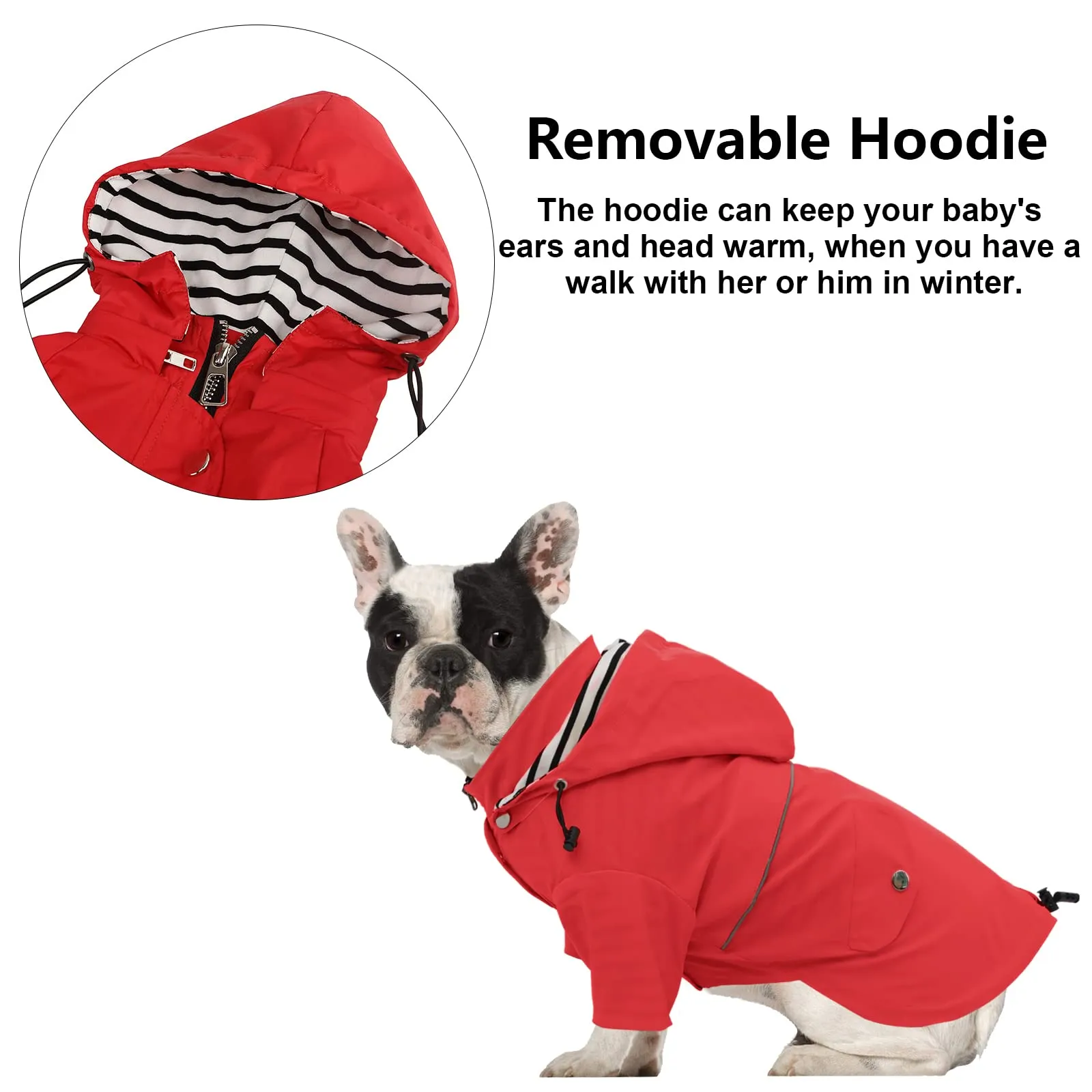 Morezi Impermeabile per Cani, Rosso, XL - immagine 6