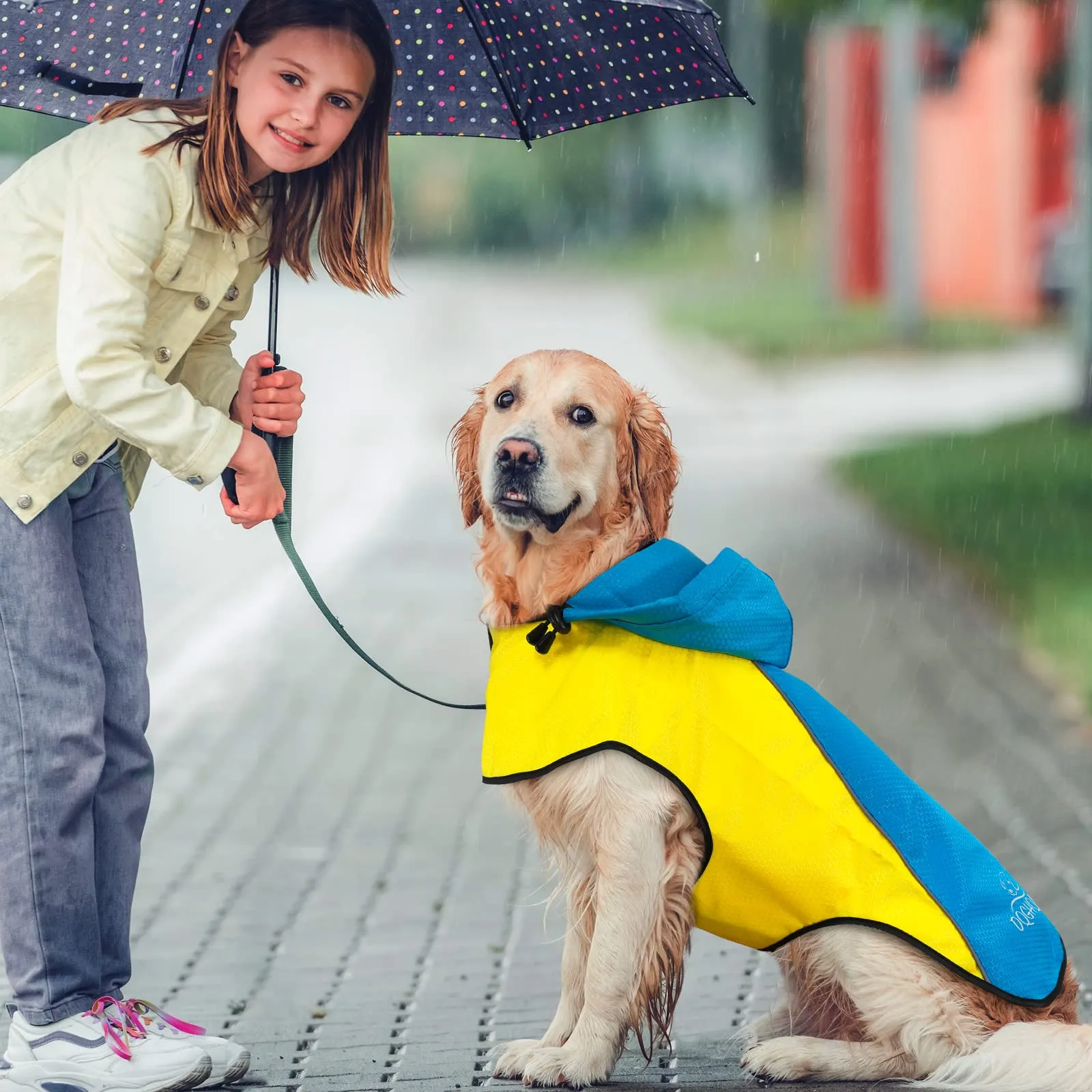 DQGHQME Impermeabile per Cane Taglia S con Cappuccio e Strisce Riflettenti - immagine 5