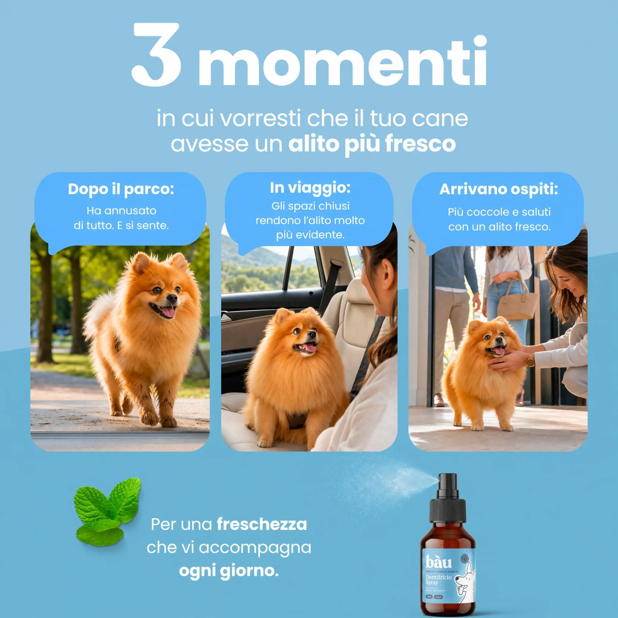 Bau Dental Formula 5in1 per Cani, Additivo per Acqua per Igiene Orale, 250 ml - immagine 2