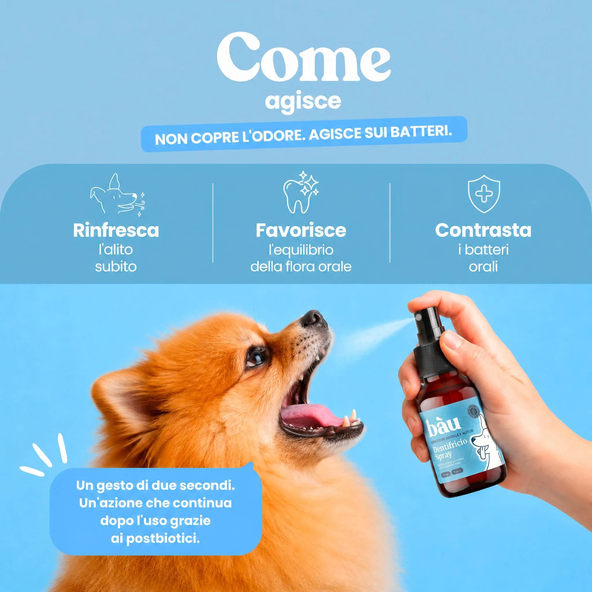 Bau Dental Formula 5in1 per Cani, Additivo per Acqua per Igiene Orale, 250 ml - immagine 3