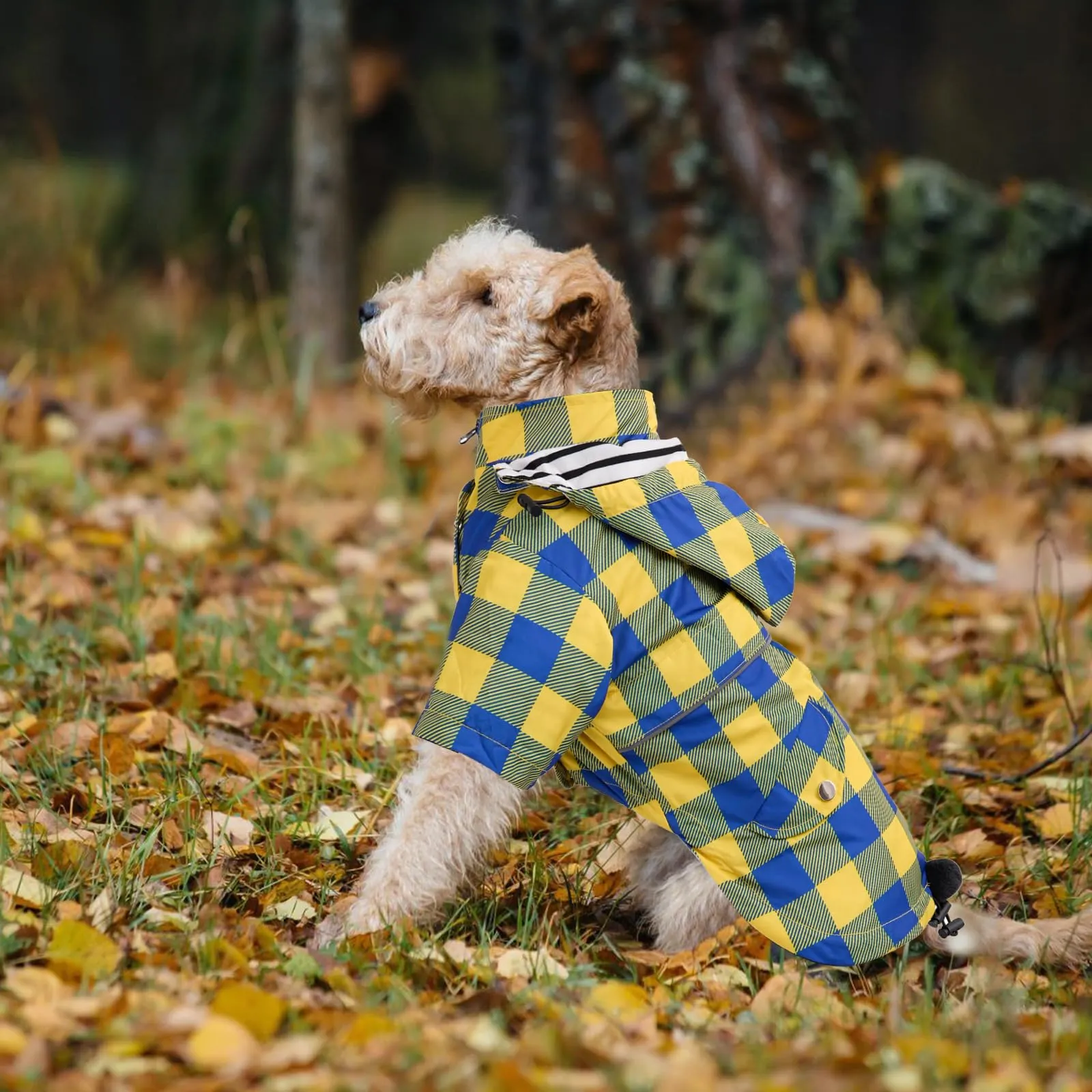Impermeabile Morezi per cani, traspirante con cappuccio staccabile e cerniera, Quadretti Giallo, XL - immagine 7