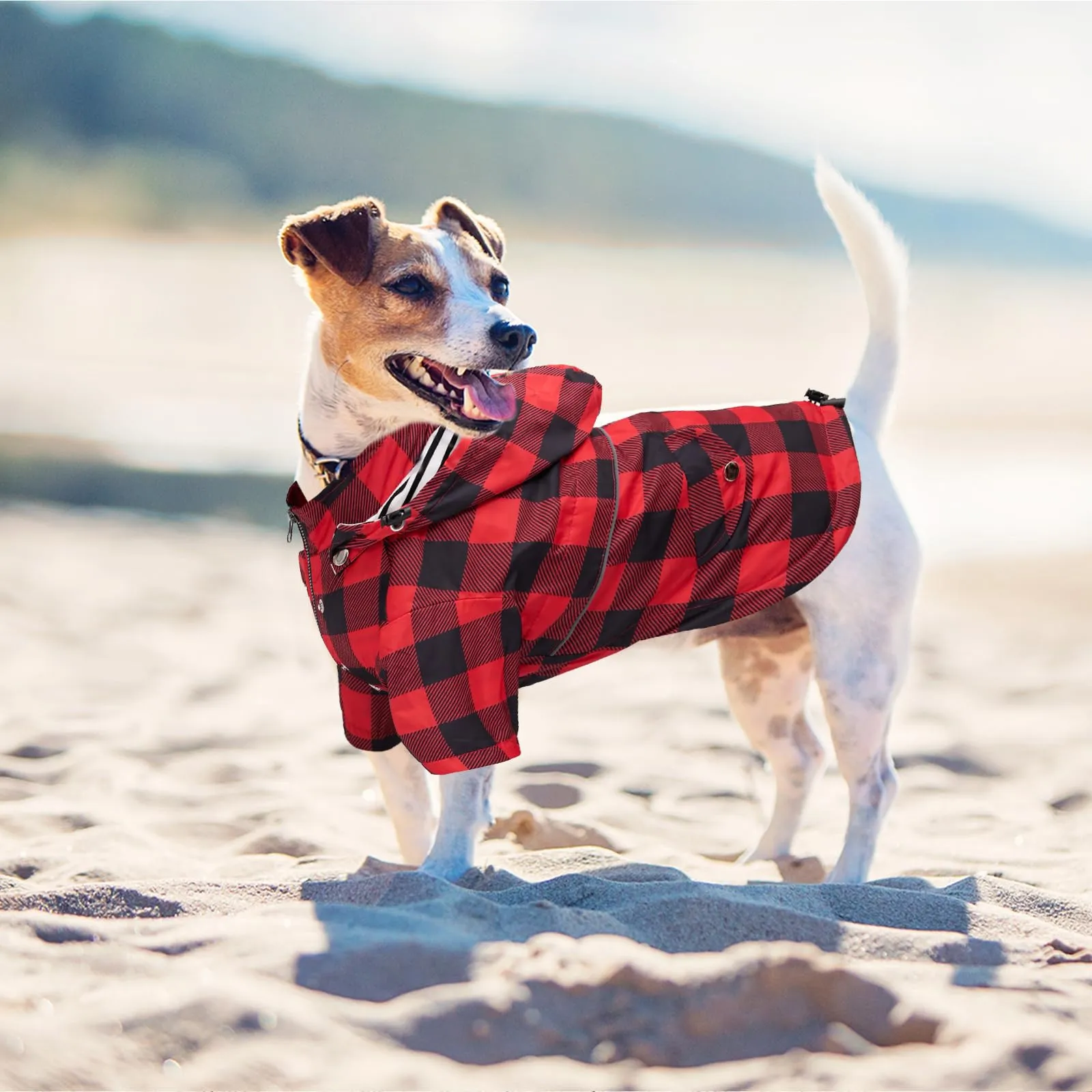 Morezi Impermeabile per Cani con Cappuccio Staccabile, Quadretti Rosso, S - immagine 7