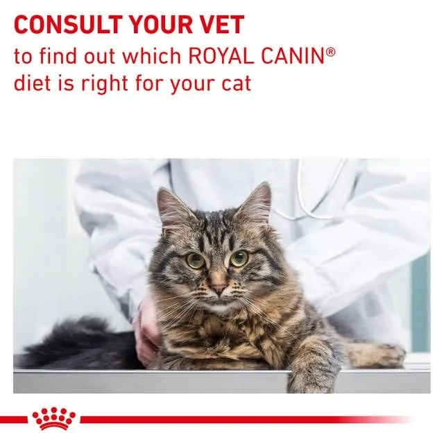 Royal Canin Gastrointestinal Fibre Response Dry Cat Food, 4 kg - immagine 5