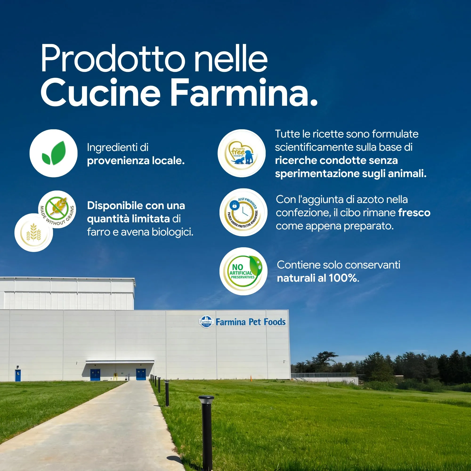 Farmina N&D Ocean Neutered Herring & Orange Adult Cat Food 5 kg - immagine 6