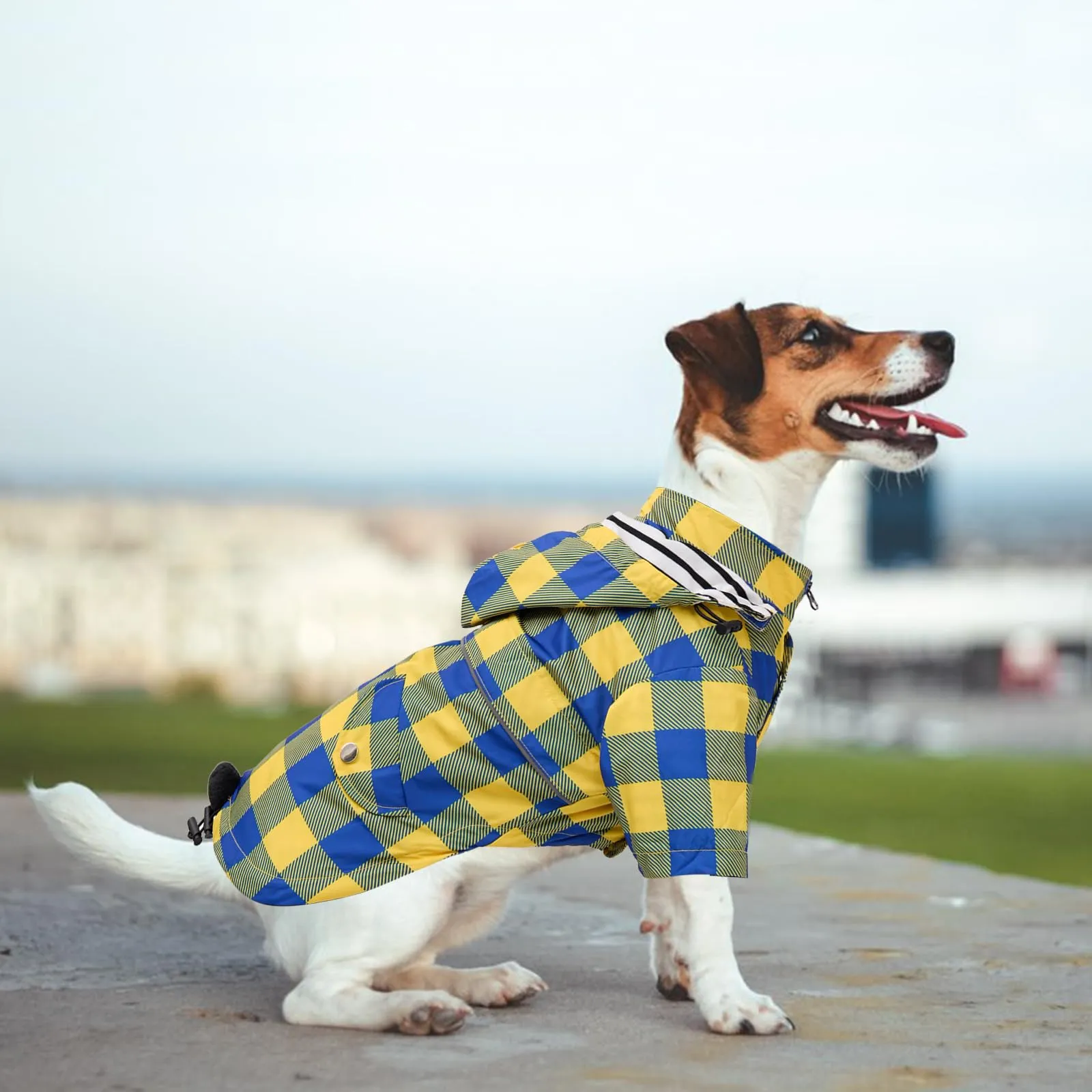 Morezi Impermeabile per cani con cappuccio staccabile, Quadretti Giallo, S - immagine 7