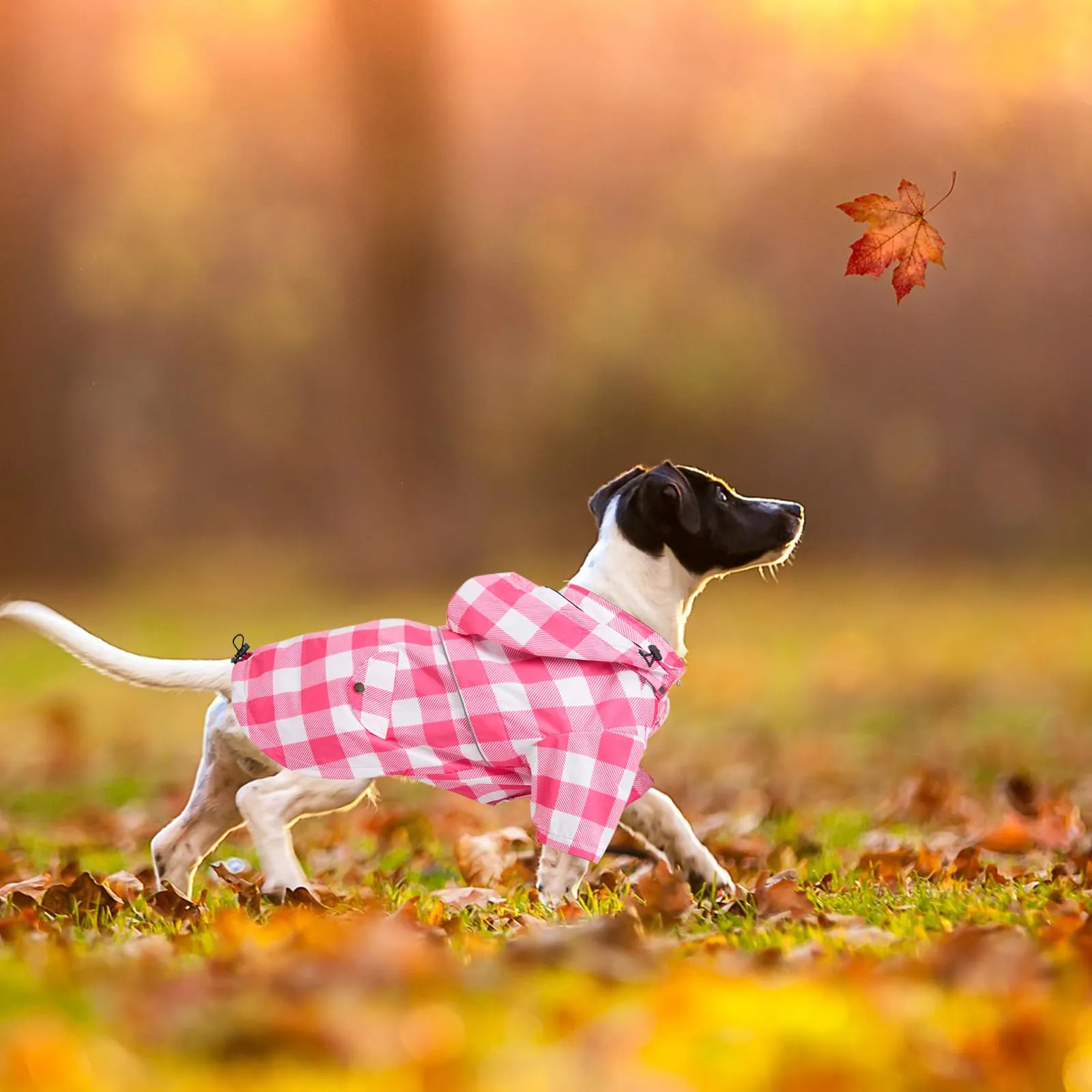 Morezi Impermeabile per cani con cappuccio staccabile, Quadretti Rosa, XL - immagine 7
