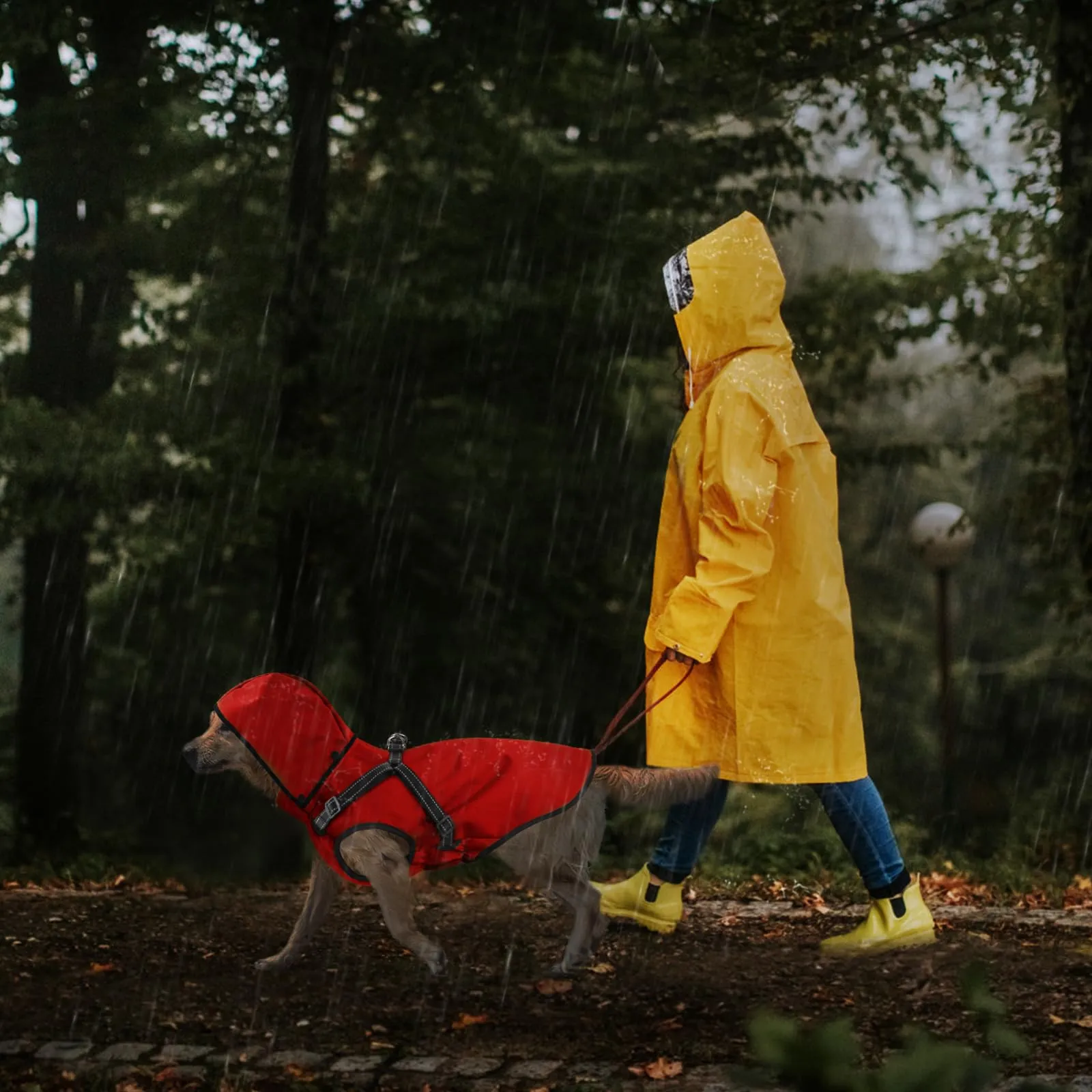 Mosucoirl Impermeabile per cani con cappuccio, Rosso, Taglia M - immagine 4