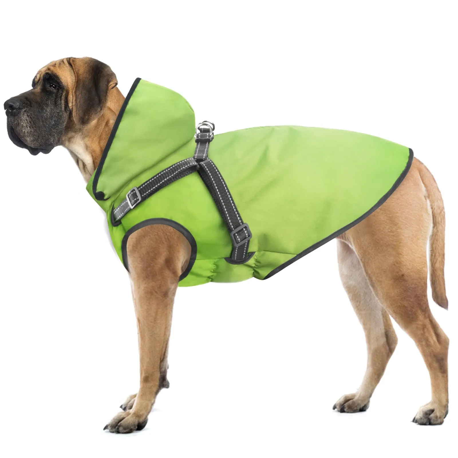 Mosucoirl Impermeabile per cani con cappuccio, Verde, Taglia M - immagine 1