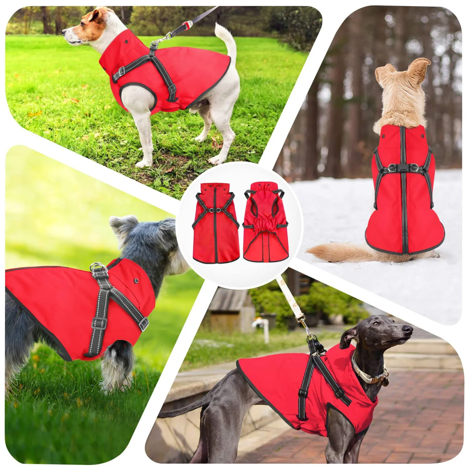 Mosucoirl Impermeabile per cani con cappuccio - immagine 3