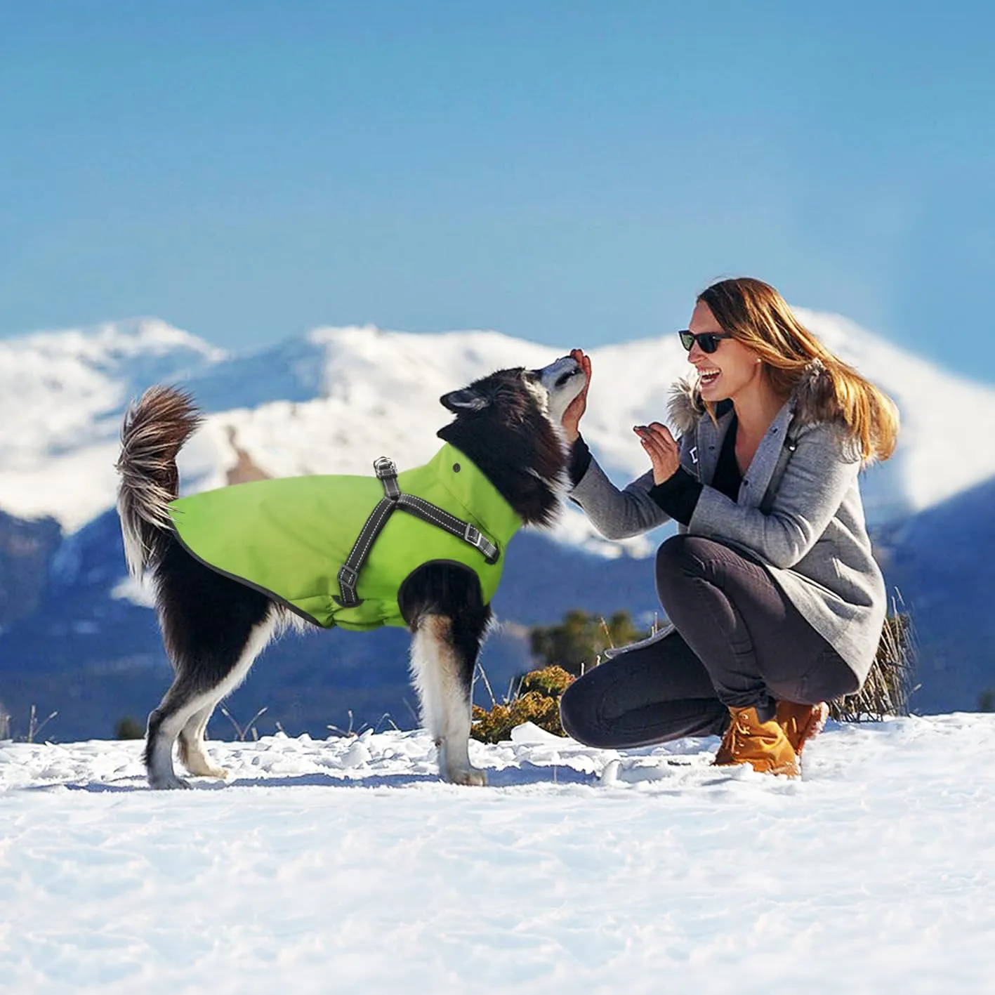 Mosucoirl Impermeabile per cani con cappuccio, Verde, Taglia L - immagine 2