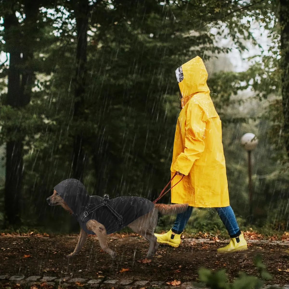 Mosucoirl Impermeabile per Cani con Cappuccio, Nero, Taglia XXL - immagine 3