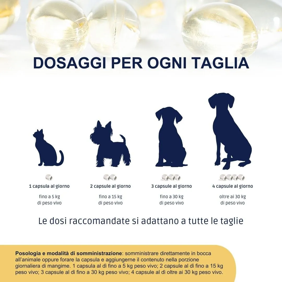Omegor Pet Omega 3 per Cani e Gatti con EPA e DHA, 60 Capsule - immagine 3
