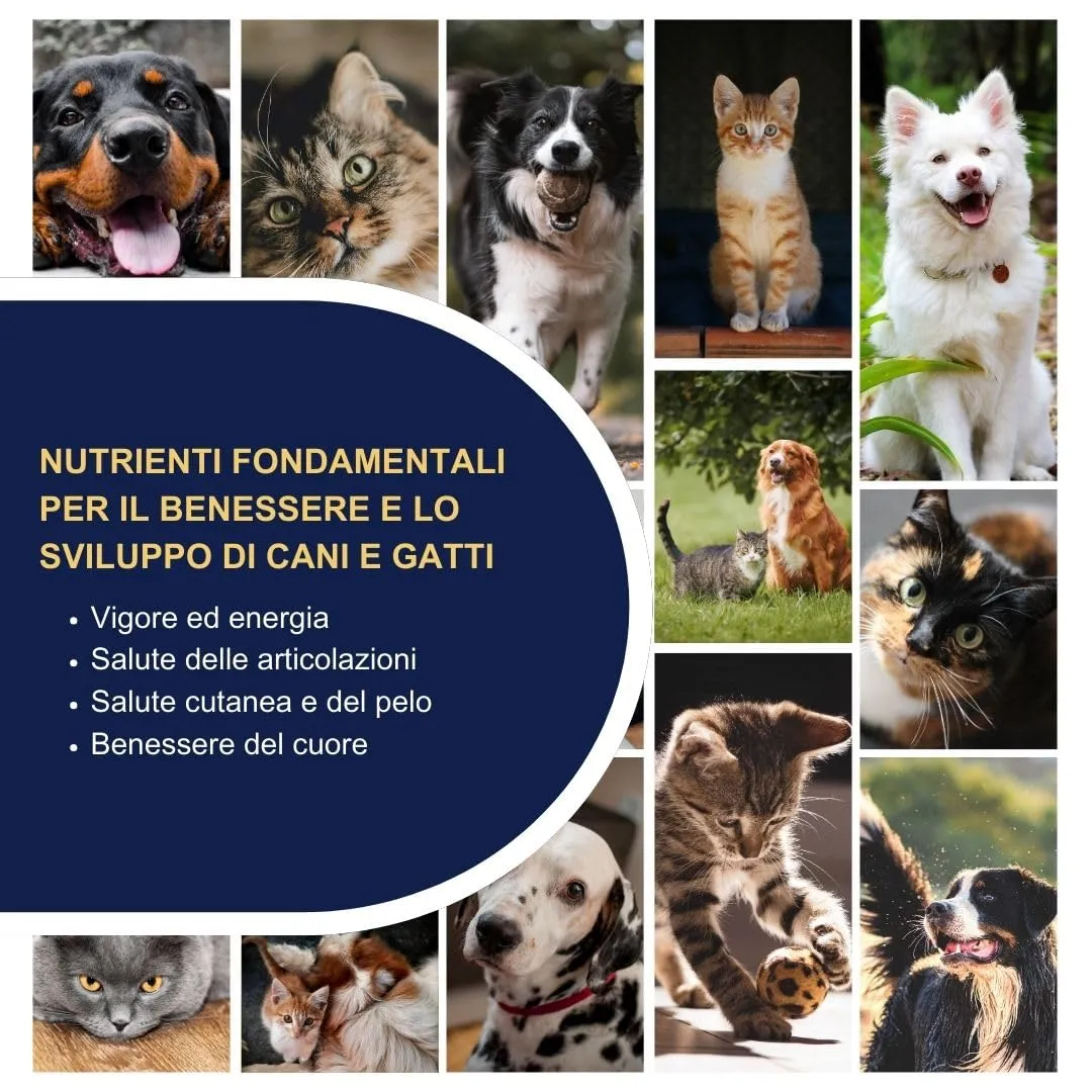 Omegor Pet Omega 3 per Cani e Gatti con EPA e DHA, 60 Capsule - immagine 4