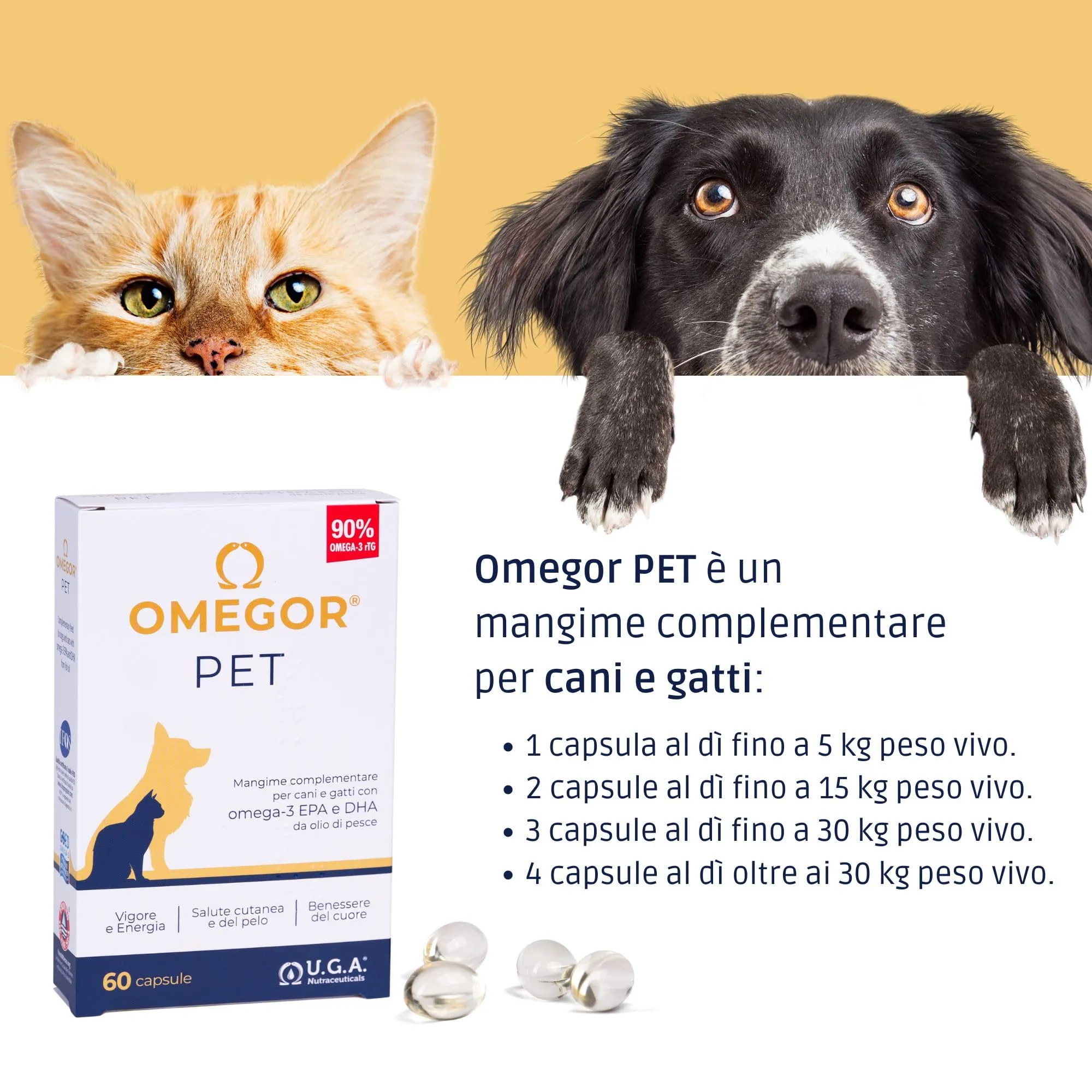Omegor Pet Omega 3 per Cani e Gatti con EPA e DHA, 60 Capsule - immagine 9