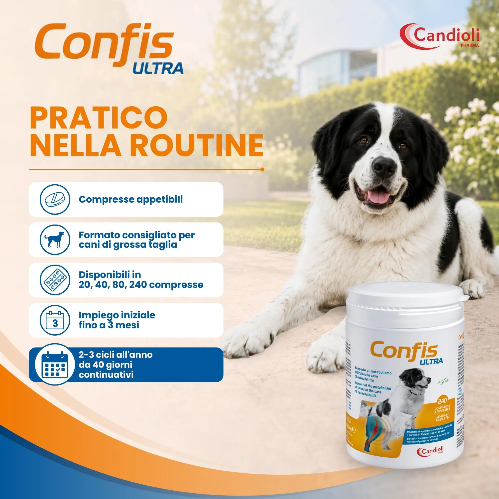 Candioli Confis Ultra Cane, Integratore Articolazioni con Glucosamina, Condroitina, Acido Ialuronico e Collagene, 240 Compresse - immagine 4