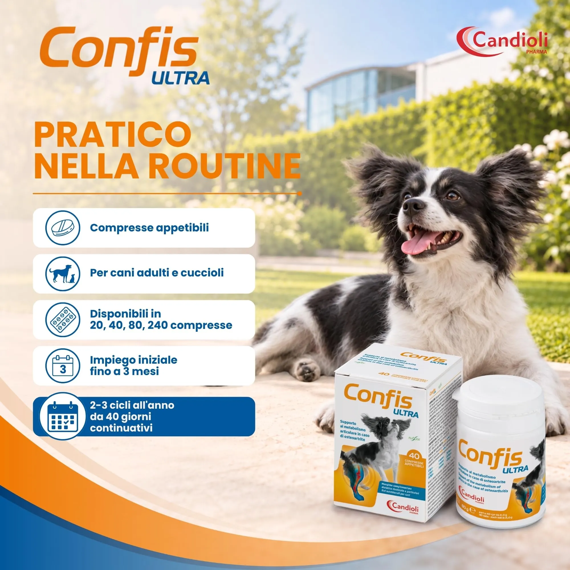 Candioli Confis Ultra per Articolazioni Cane, 40 Compresse - immagine 4