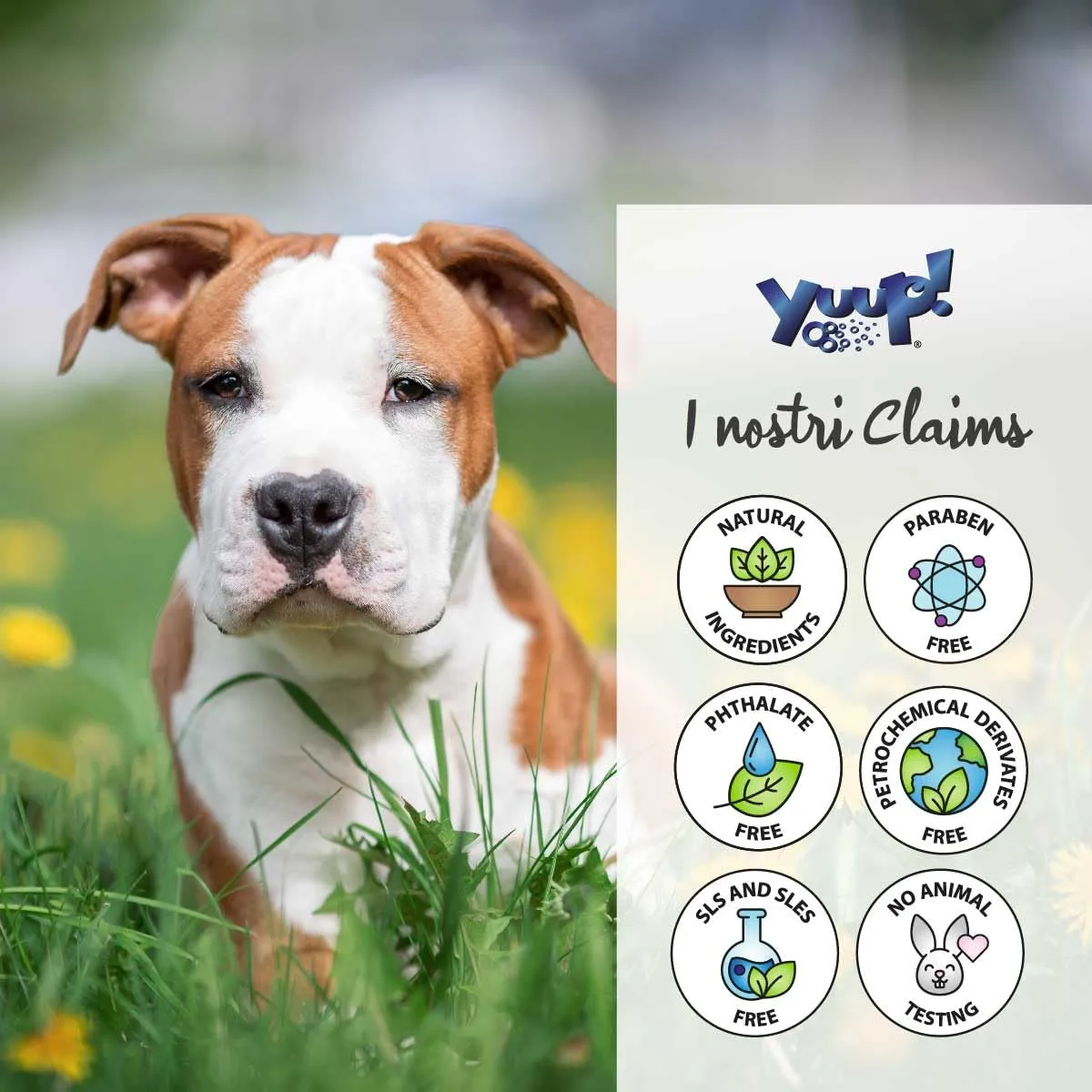 Yuup Spray al Tea Tree Oil e Olio di Neem per cani e gatti, 150 ml - immagine 5