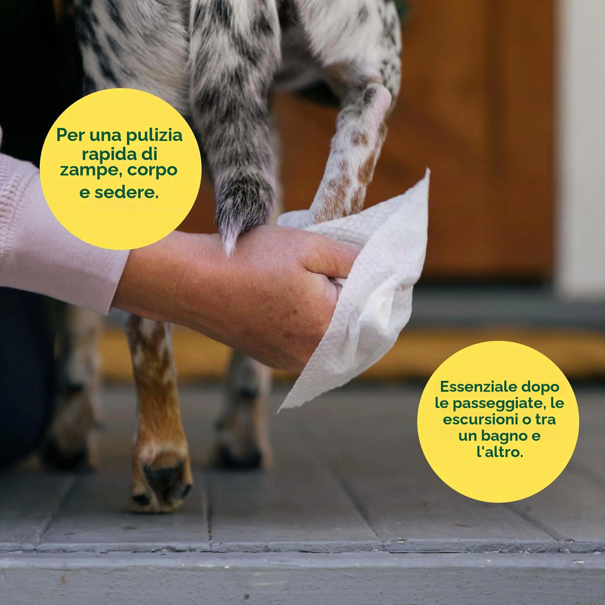 Earth Rated Salviette Ipoallergeniche per Cani alla Lavanda, 400 Pezzi - immagine 2