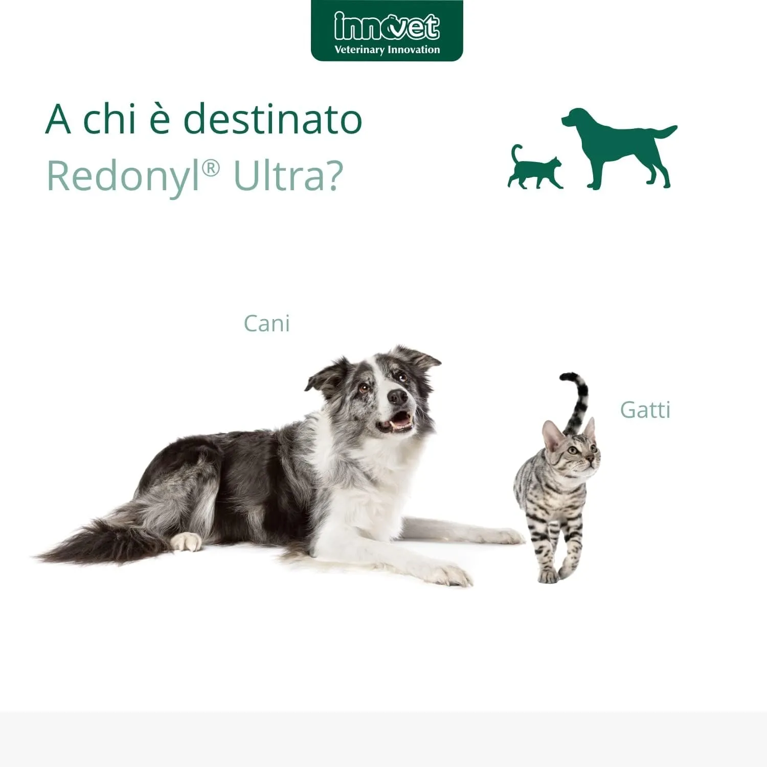 Innovet Redonyl Ultra 50 mg per cani e gatti, 60 capsule - immagine 8
