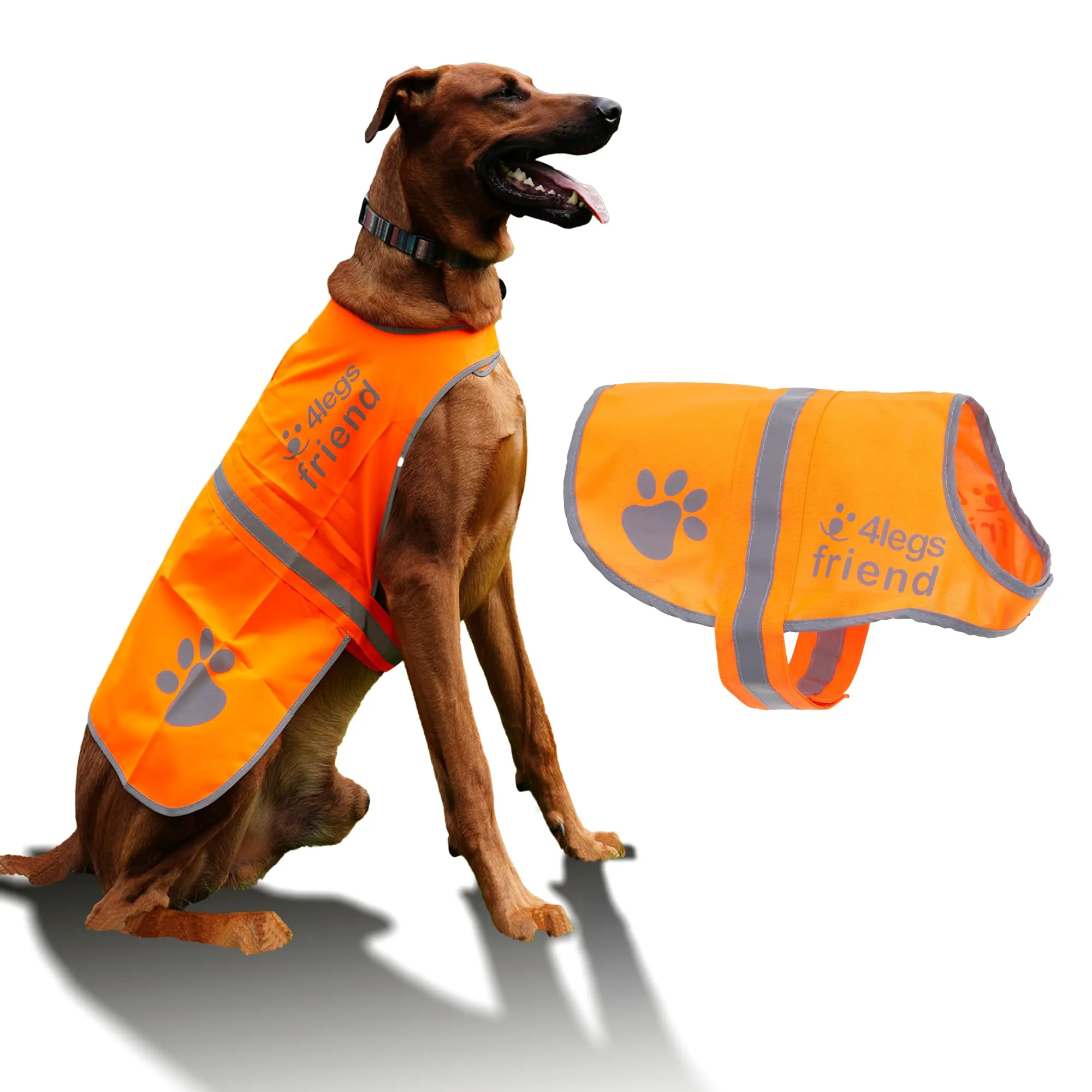4LegsFriend Gilet Riflettente di Sicurezza per Cani, Arancione, Taglia Small - immagine 4