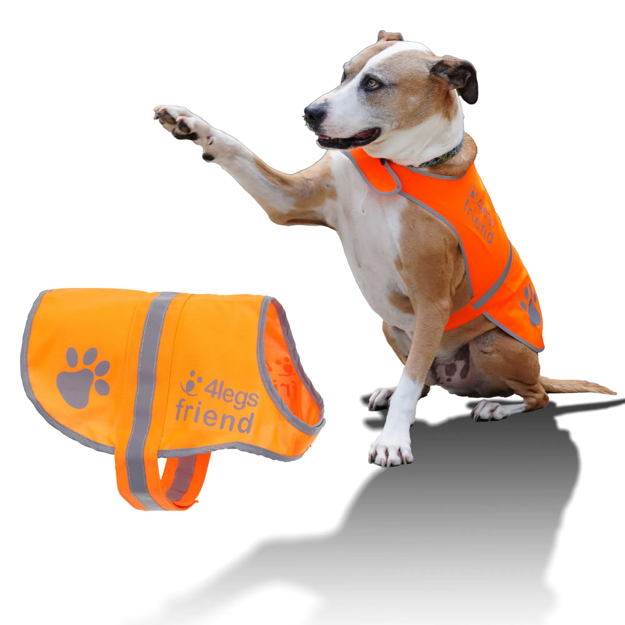 4LegsFriend Gilet Riflettente di Sicurezza per Cani, Arancione, Taglia Medium - immagine 3