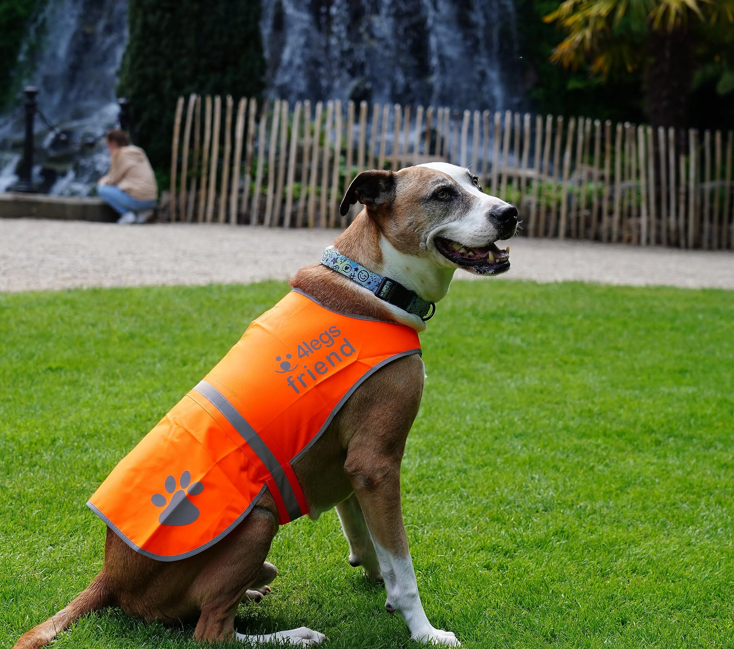4LegsFriend Gilet Riflettente per Cane, Alta Visibilità, Arancione, Extra Large - immagine 6