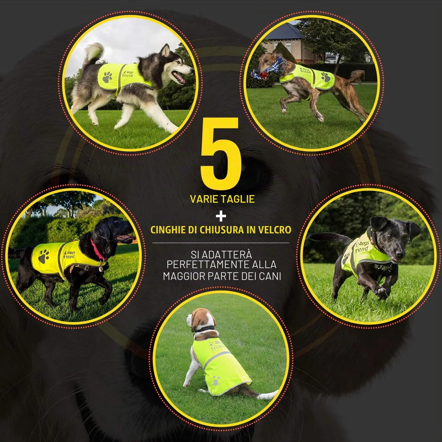 4LegsFriend Giubbotto Riflettente di Sicurezza per Cani, Giallo, Small - immagine 4