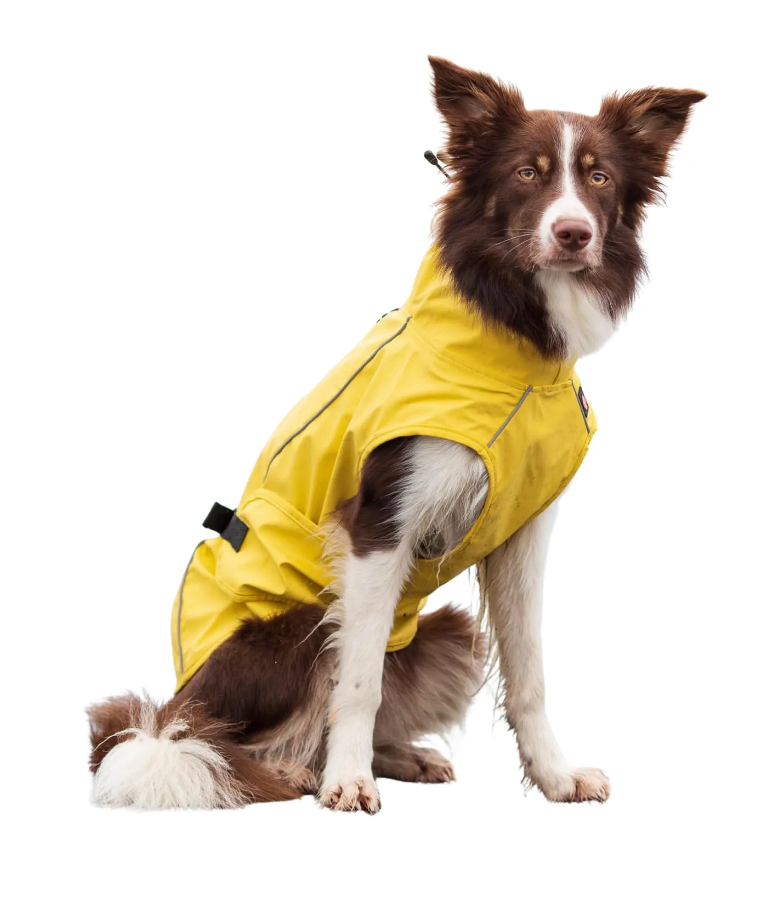 Trixie Vimy Impermeabile per Cane, Taglia M, 45 cm, Giallo - immagine 1