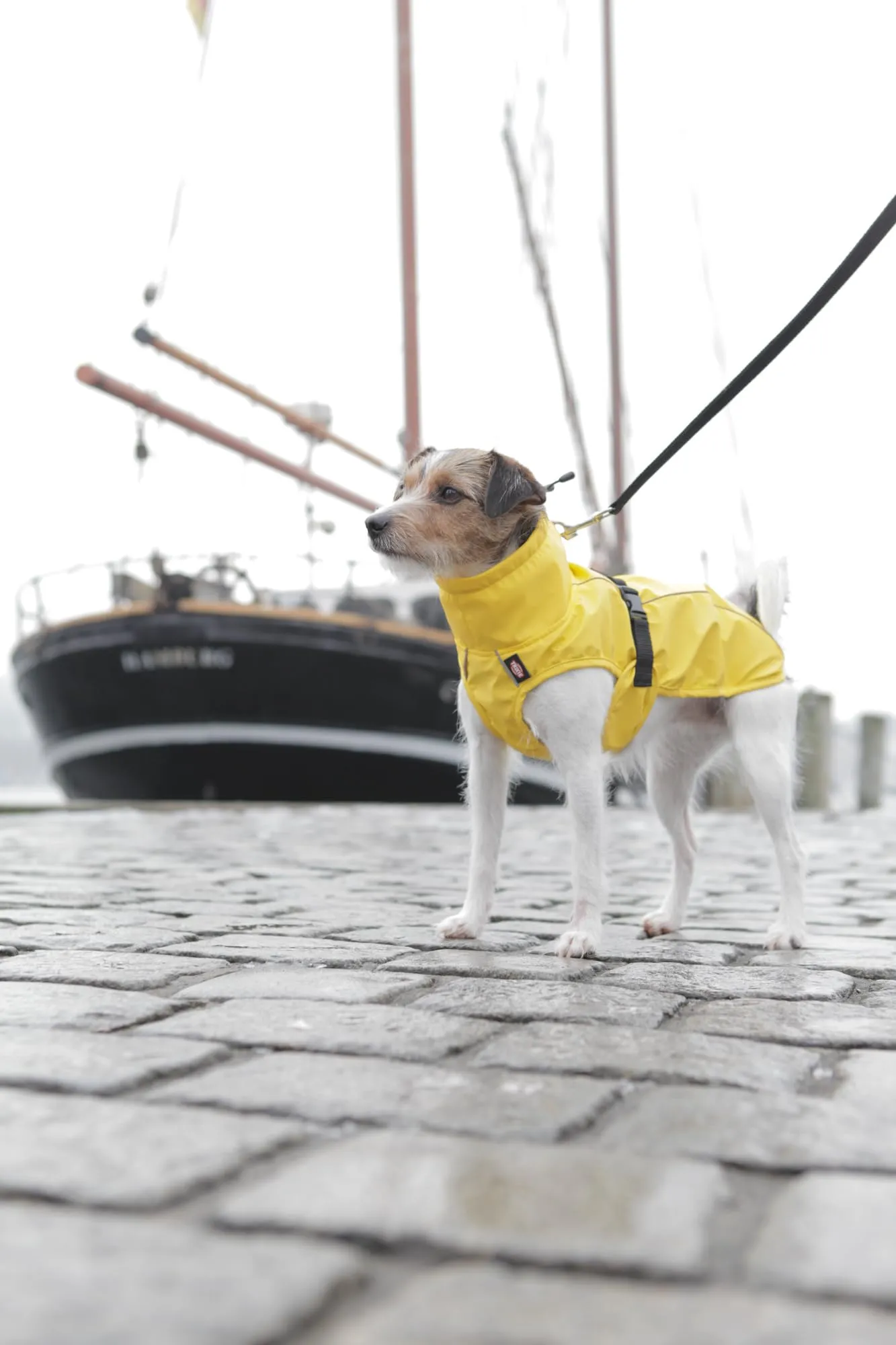 Trixie Vimy Impermeabile per Cane, Taglia L, 55 cm, Giallo - immagine 7