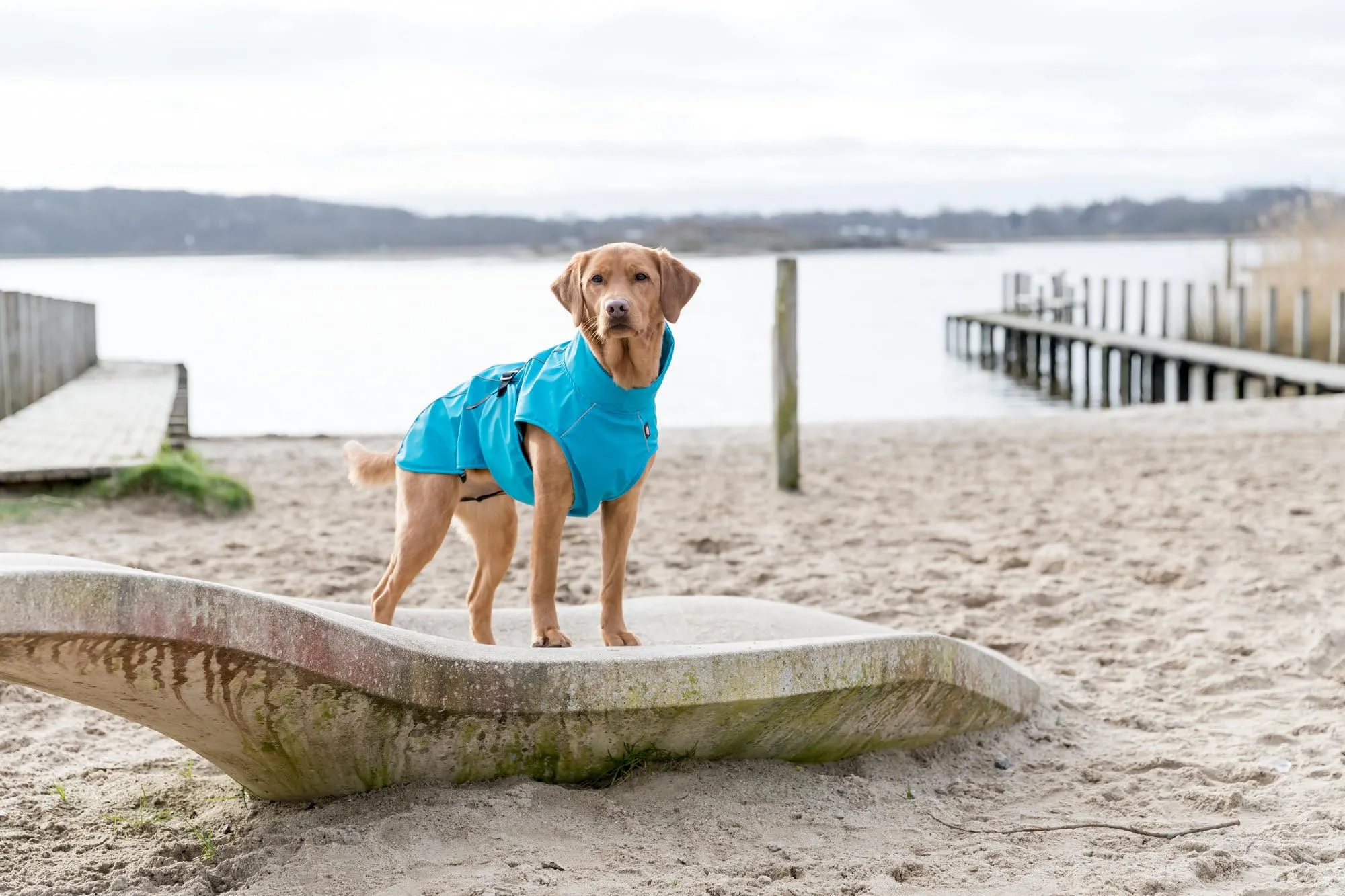 Trixie Vimy Raincoat, L, Blu, 680206 - immagine 2