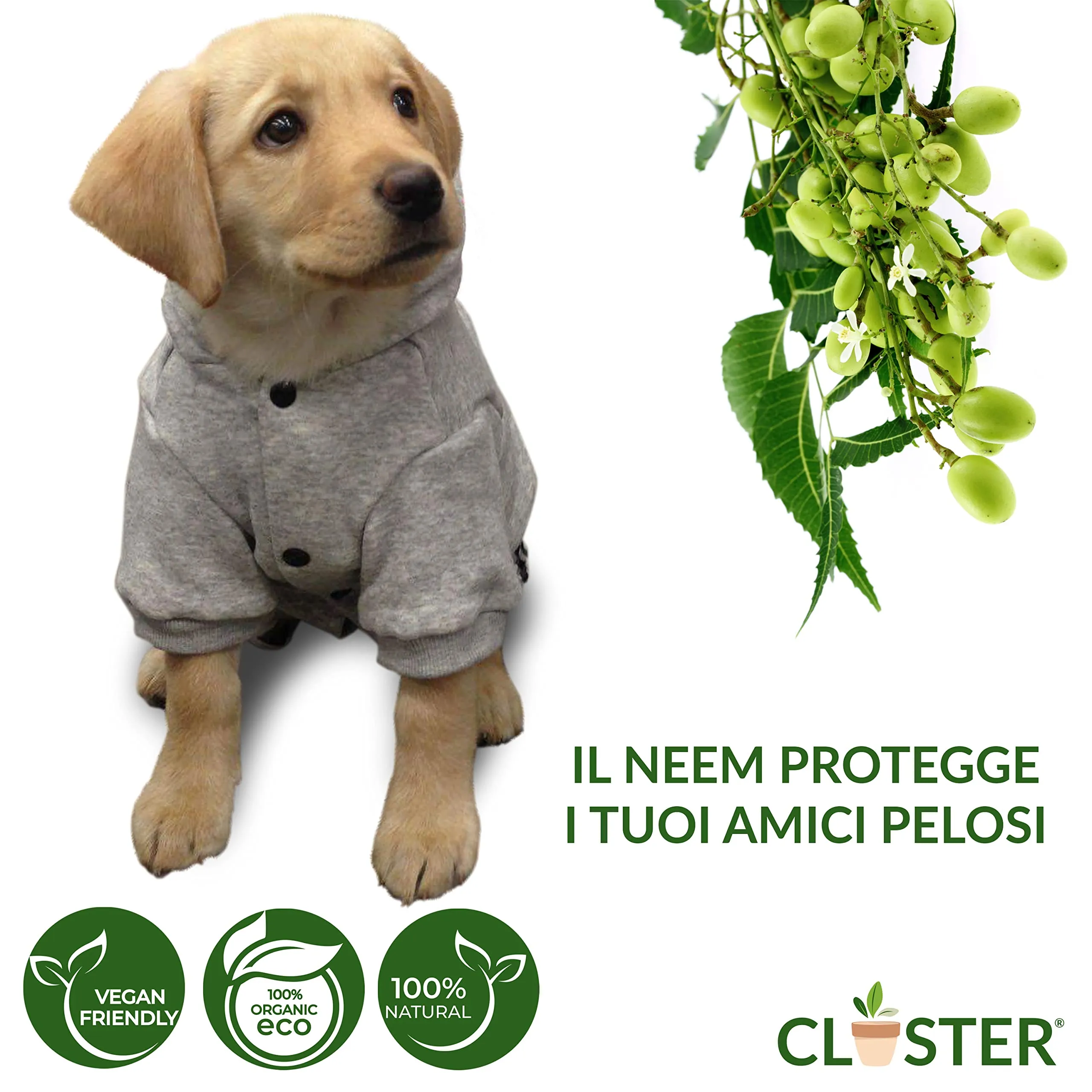 CLOSTER Neem Pet Protection Antiparassitario Cani e Gatti, Olio di Neem Spray, 500 ml - immagine 2