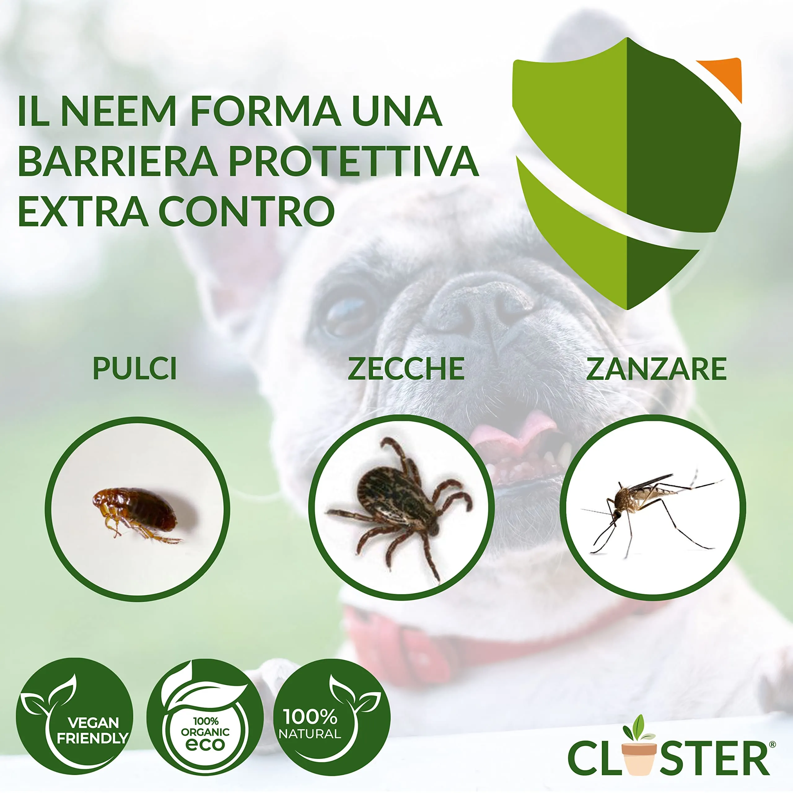 CLOSTER Neem Pet Protection Antiparassitario Cani e Gatti, Olio di Neem Spray, 500 ml - immagine 4