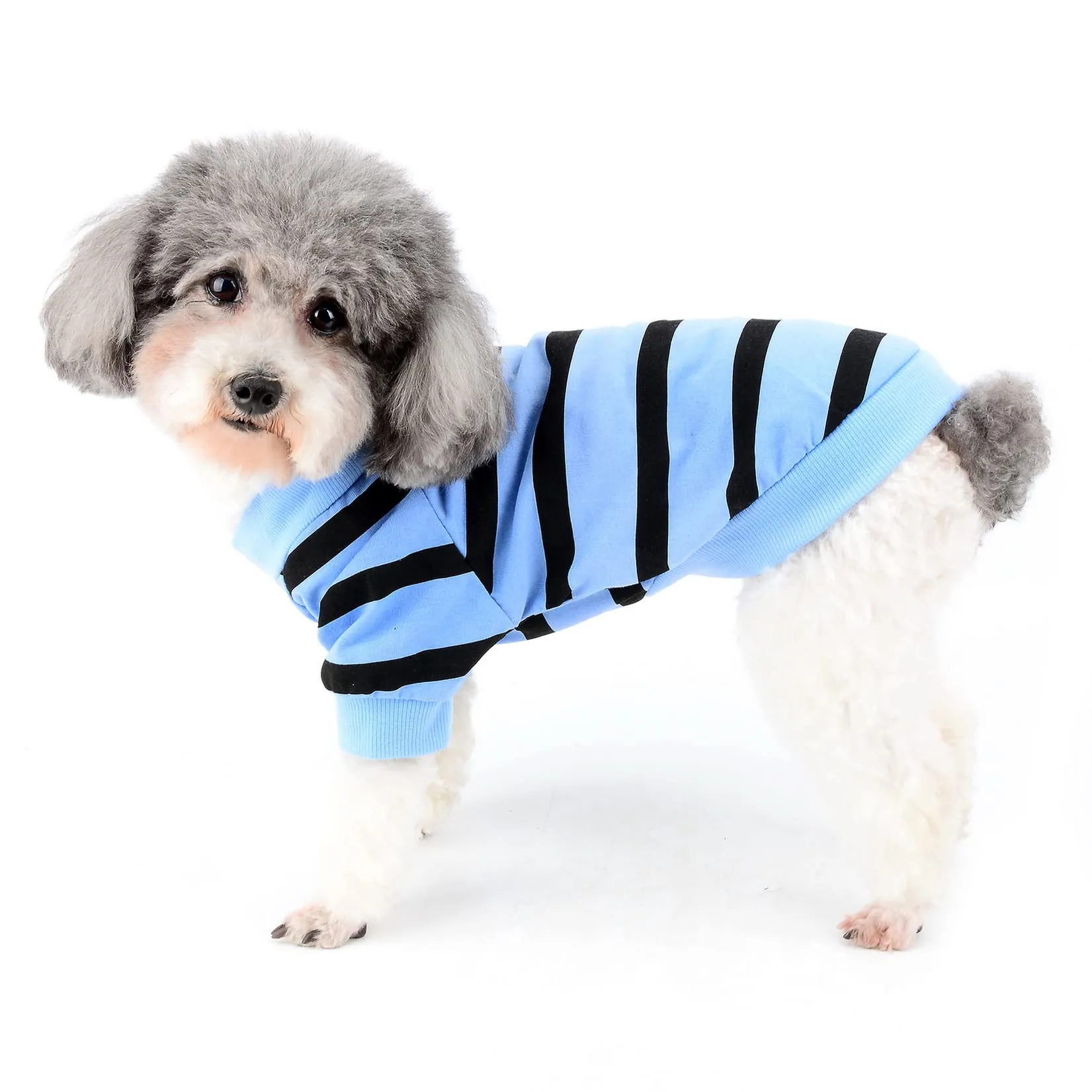 Zunea Magliette per Cani a Righe con Paillettes Cuore, Blu, XL - immagine 2