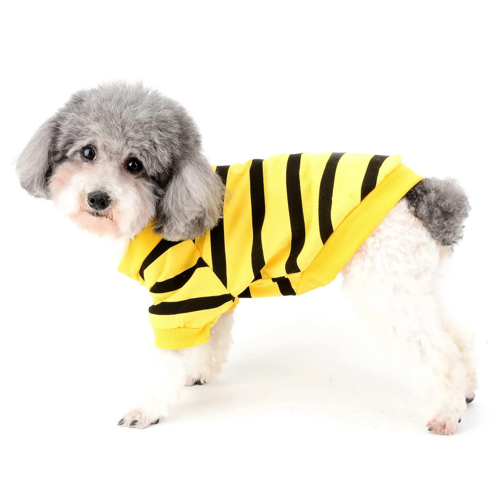 Zunea Magliette per Cani di Piccola Taglia a Righe con Paillettes Cuore, Cotone, Giallo Scuro, L - immagine 2