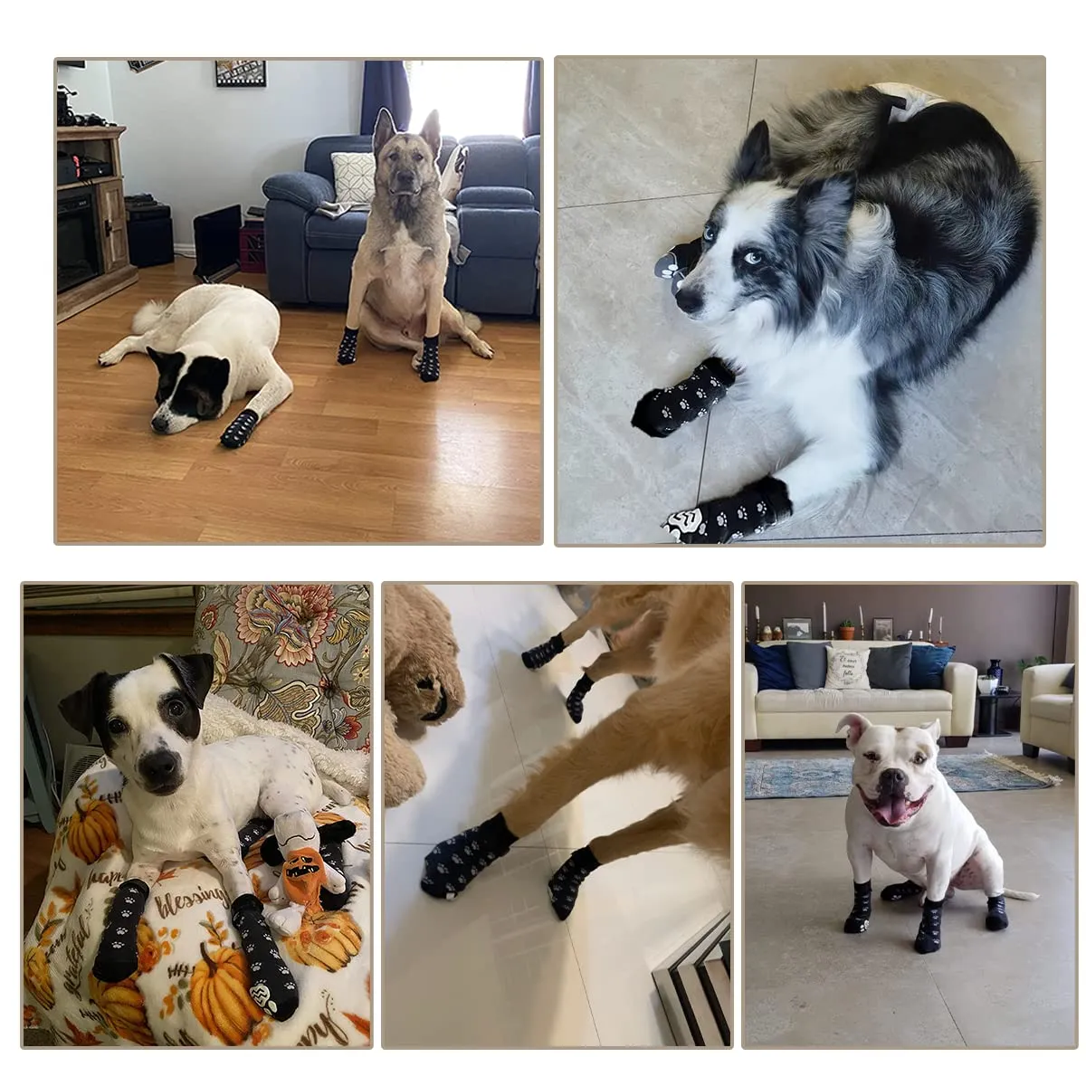 Tsathoggua Calzini Antiscivolo Regolabili per Cani, Taglia M, Nero - immagine 5